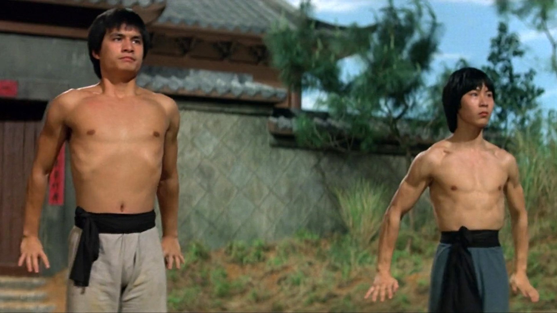 The New Shaolin Boxers Background