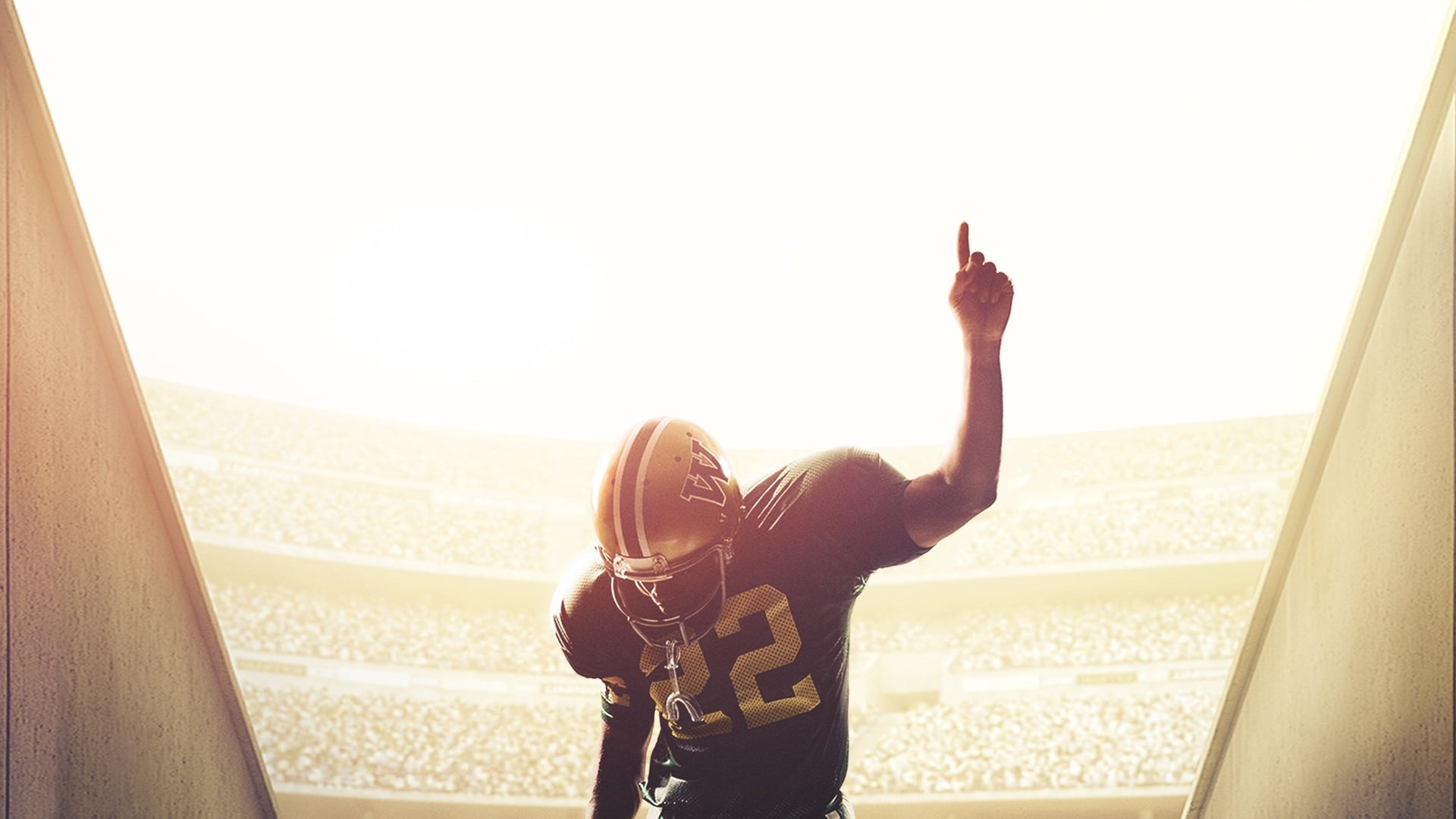 Woodlawn Background