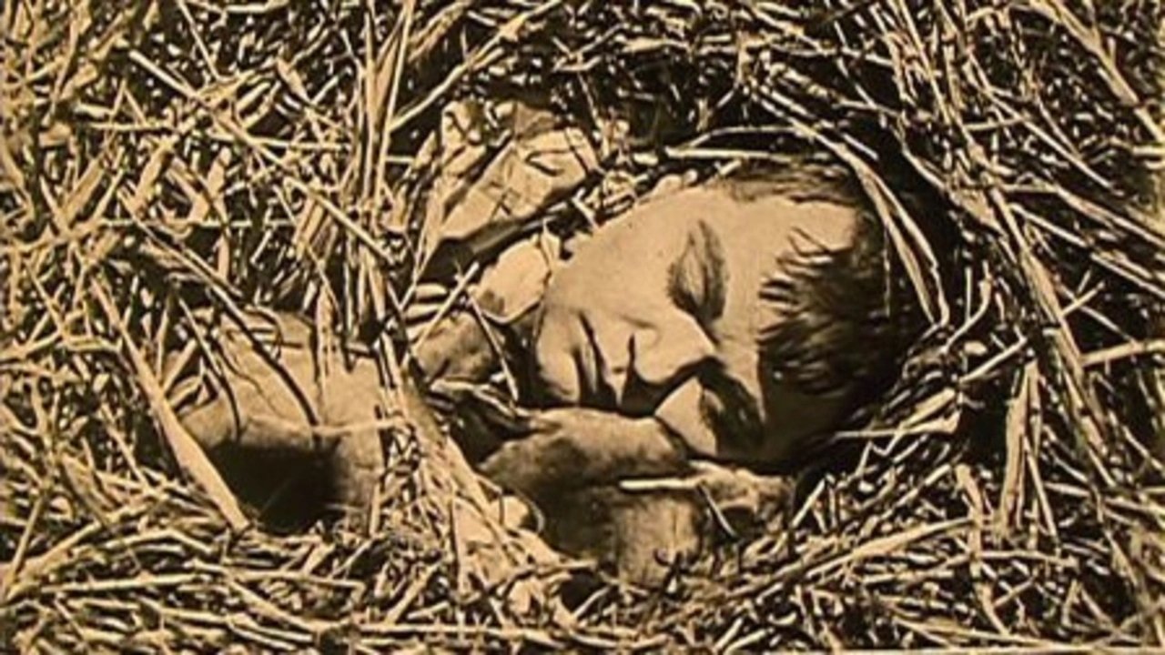 The Hayseed Background