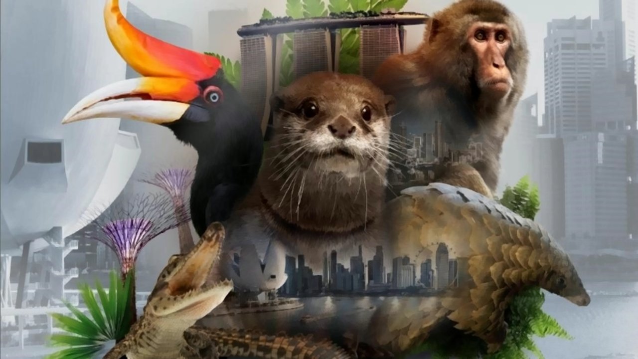 Wild City Background