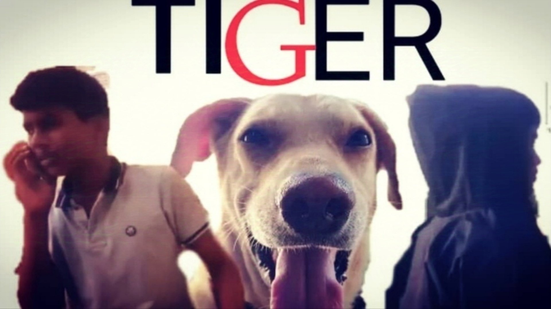 TIGER Background