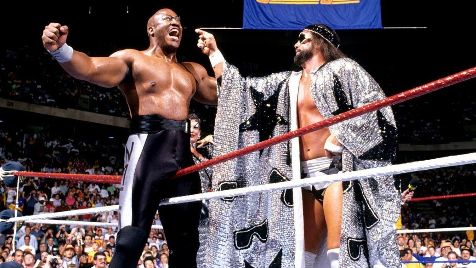 WWE SummerSlam 1989 Background