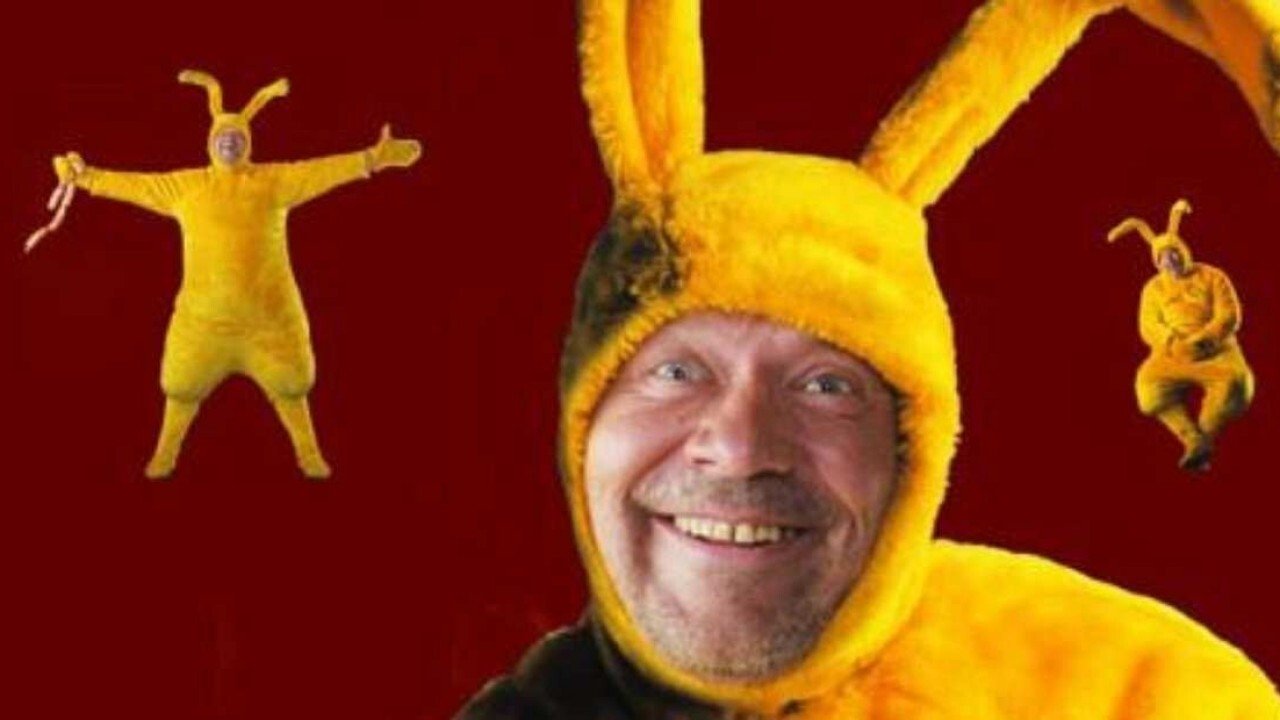 Fat Stupid Rabbit Background