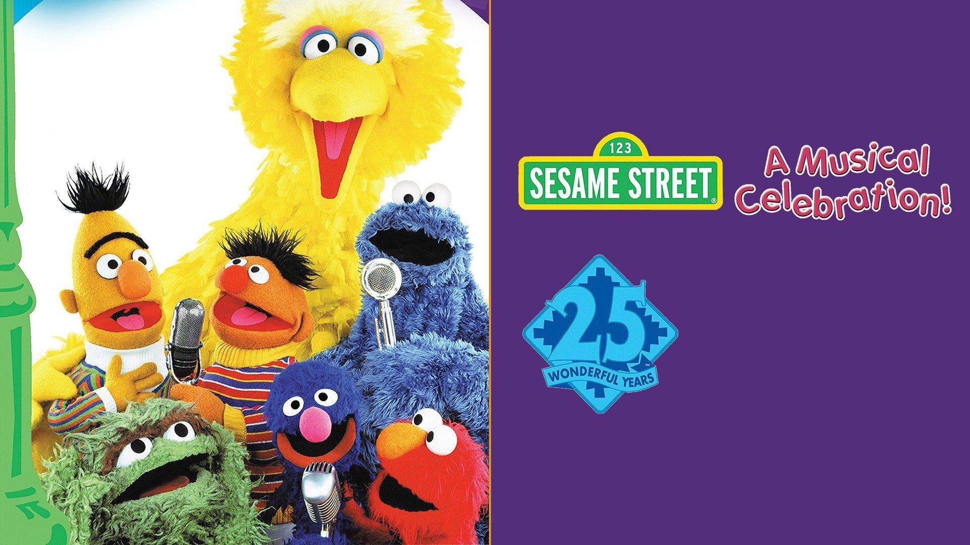 Sesame Street: 25 Wonderful Years: A Musical Celebration! Background