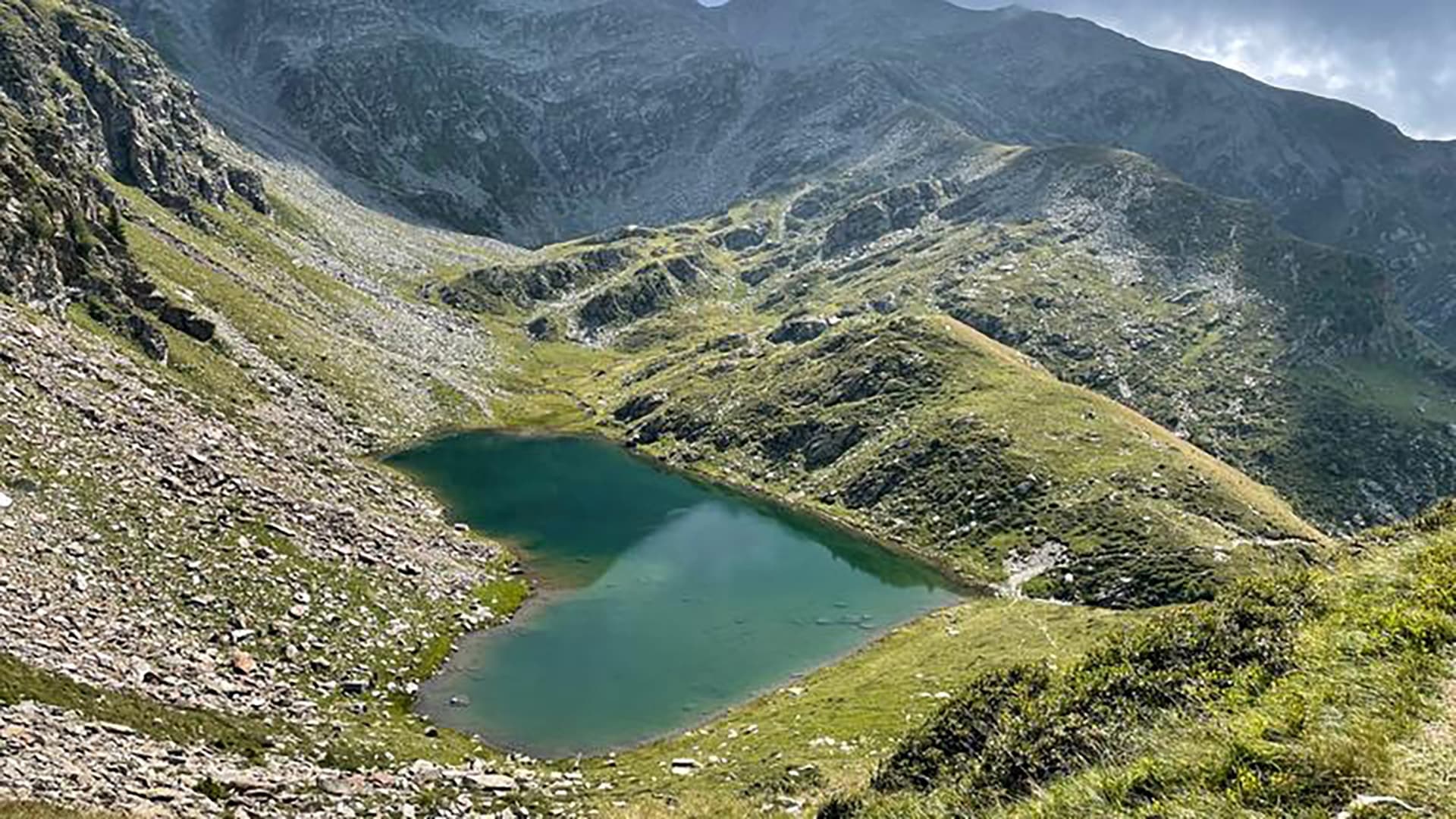 Wilde Schweiz Background