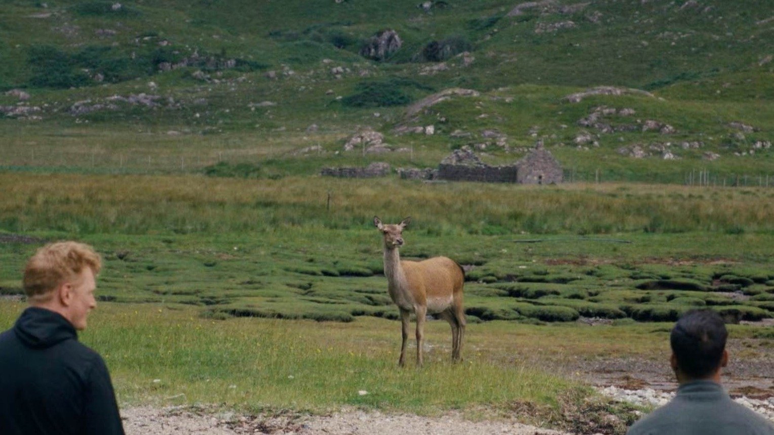 The North Background