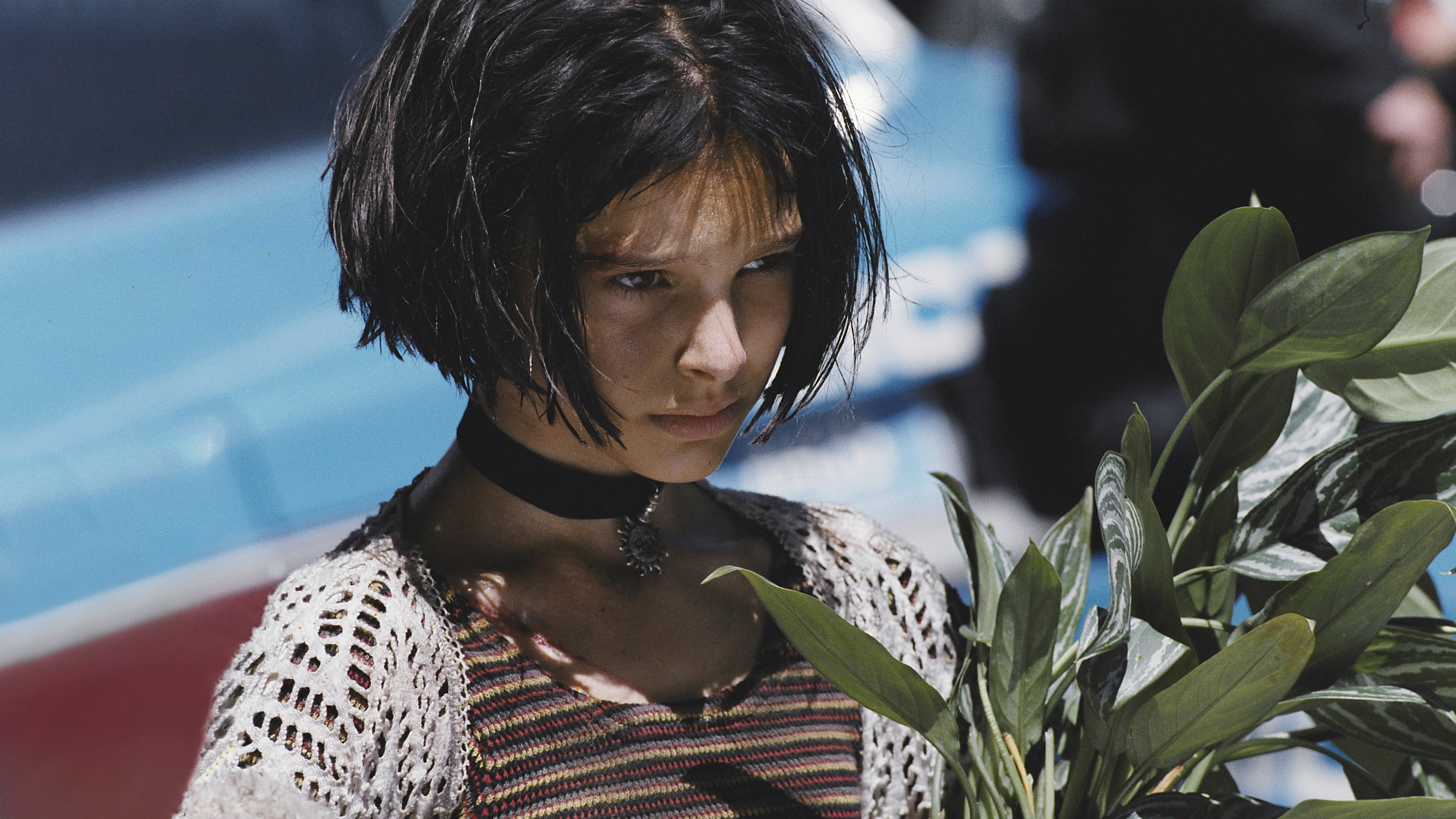 Léon: The Professional Background