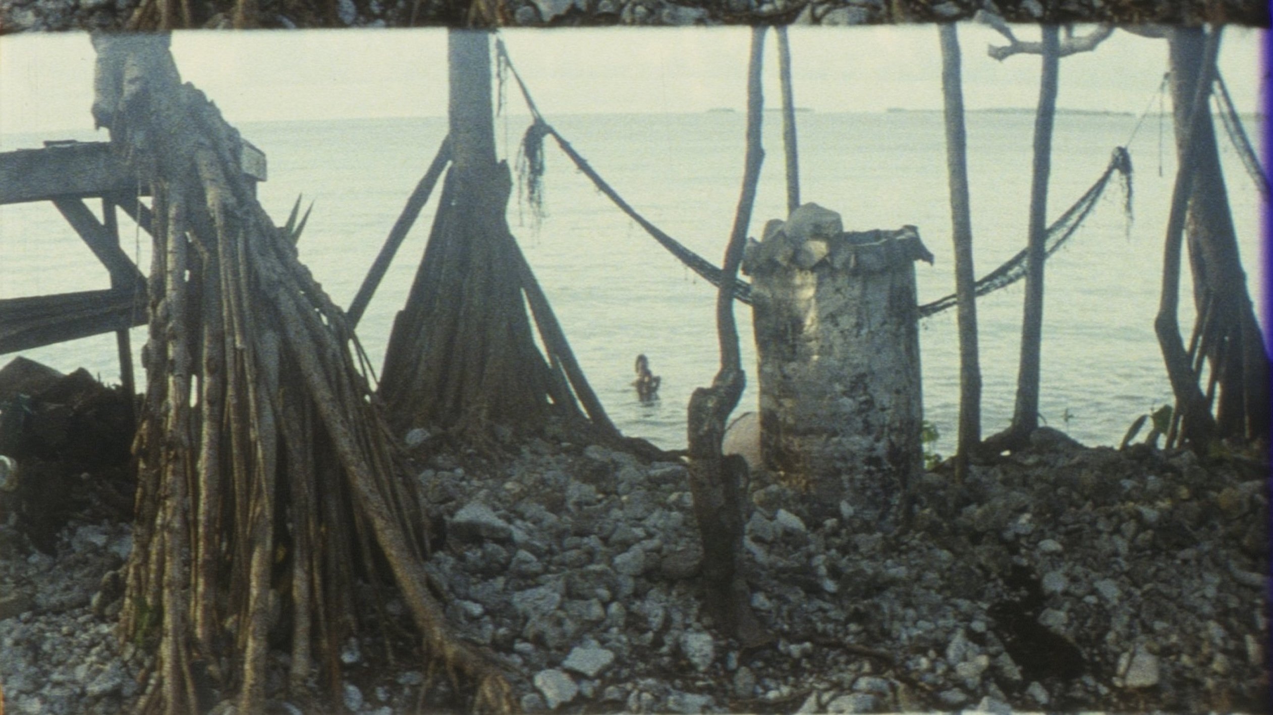 Slow Action Background