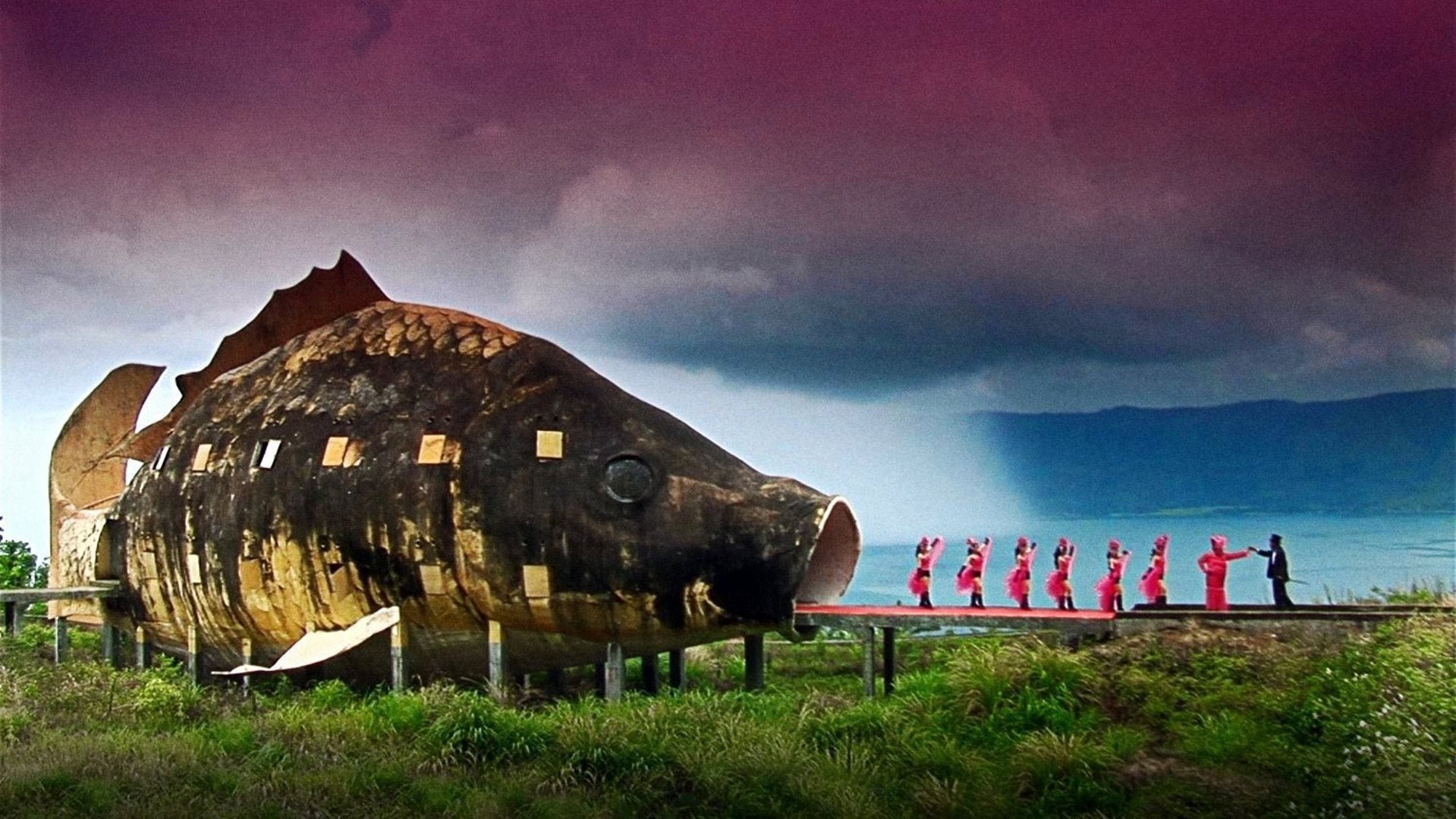 The Act of Killing Background