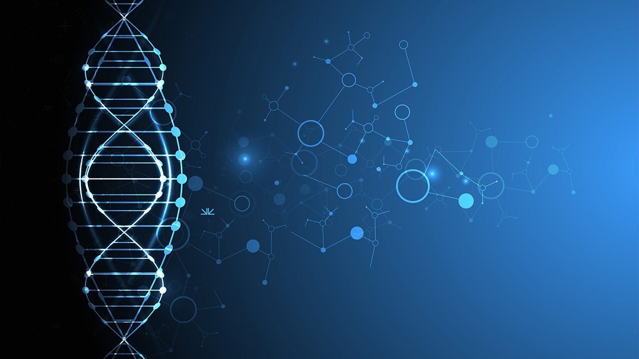 Q.E.D Background