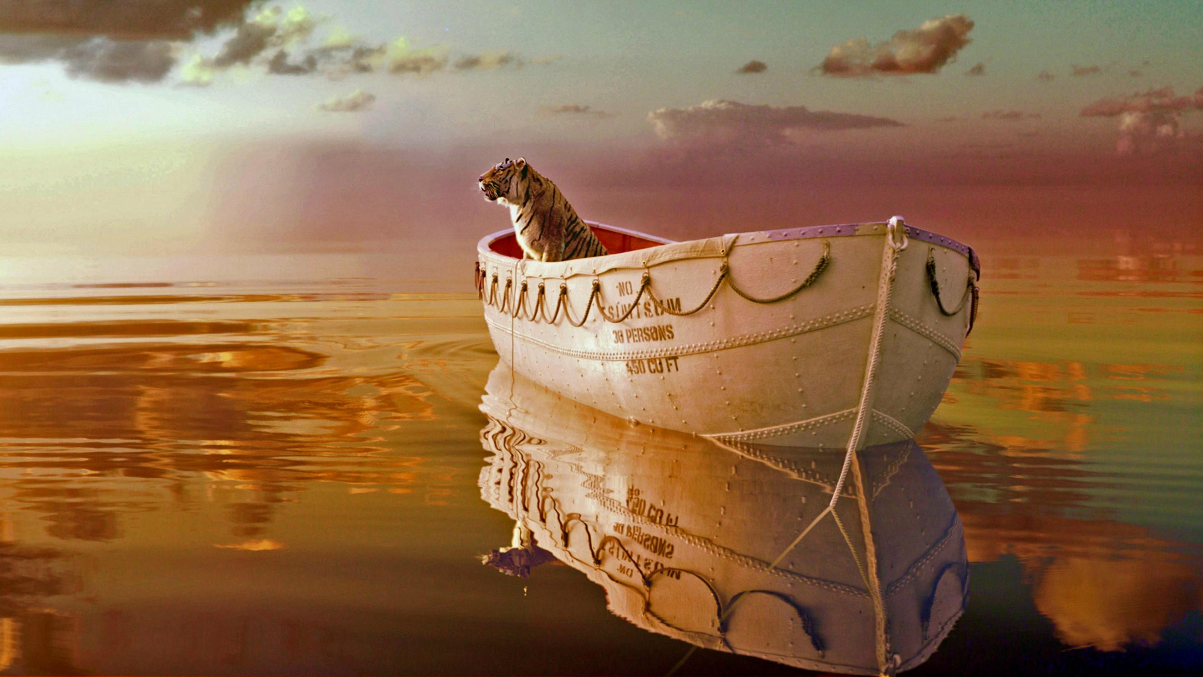 Life of Pi Background