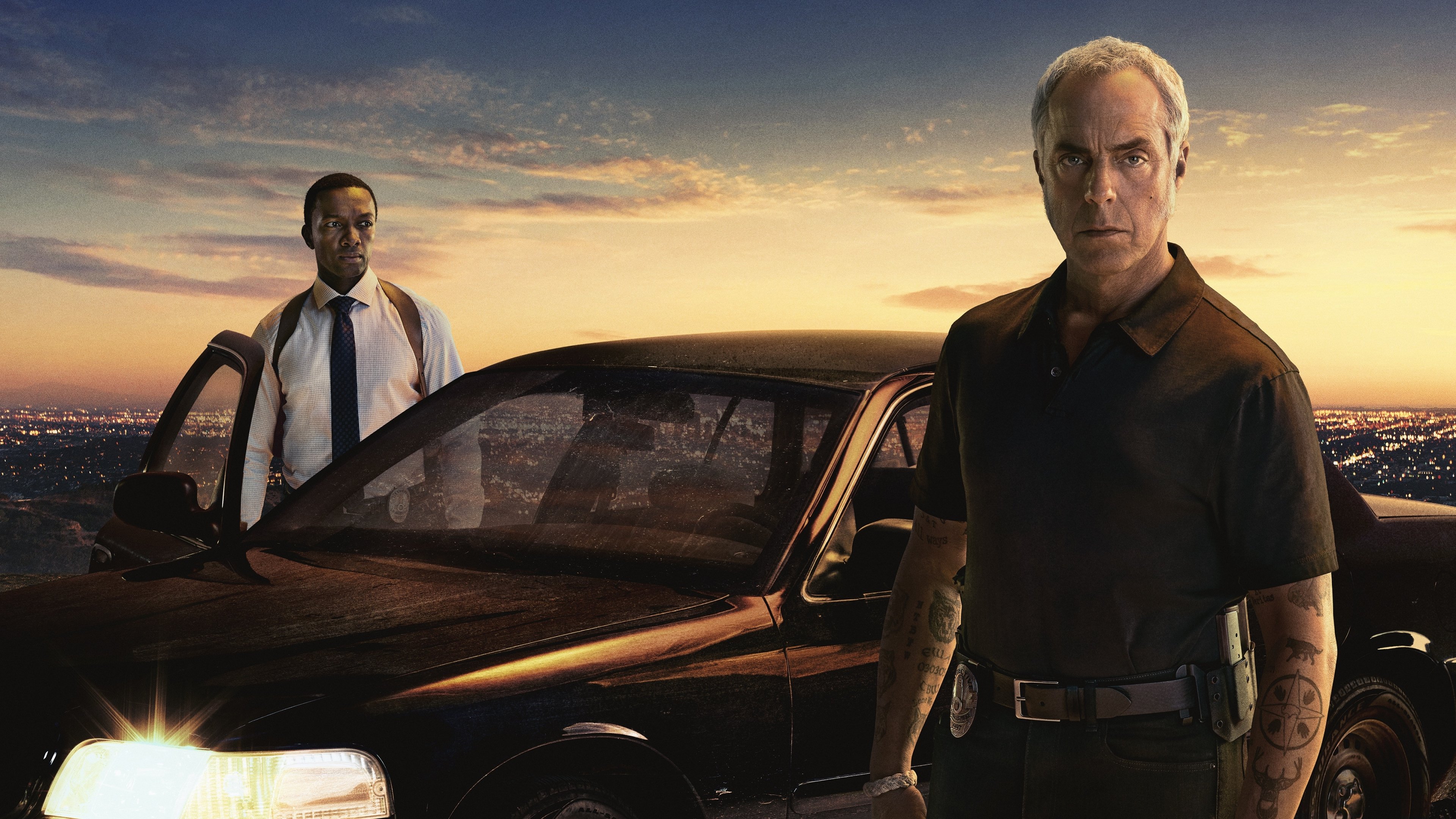 Bosch Background