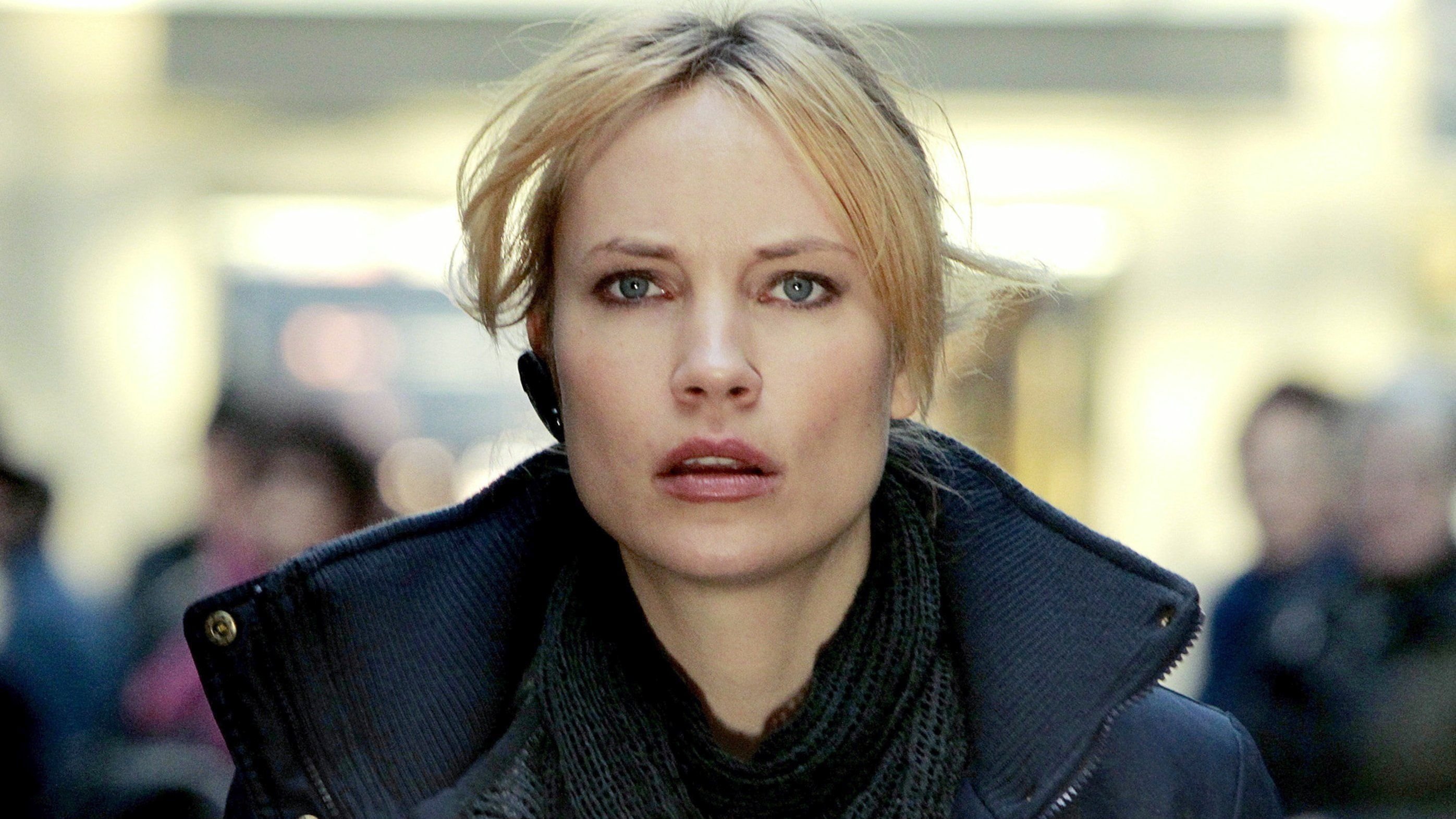 Detective Inspector Irene Huss Background