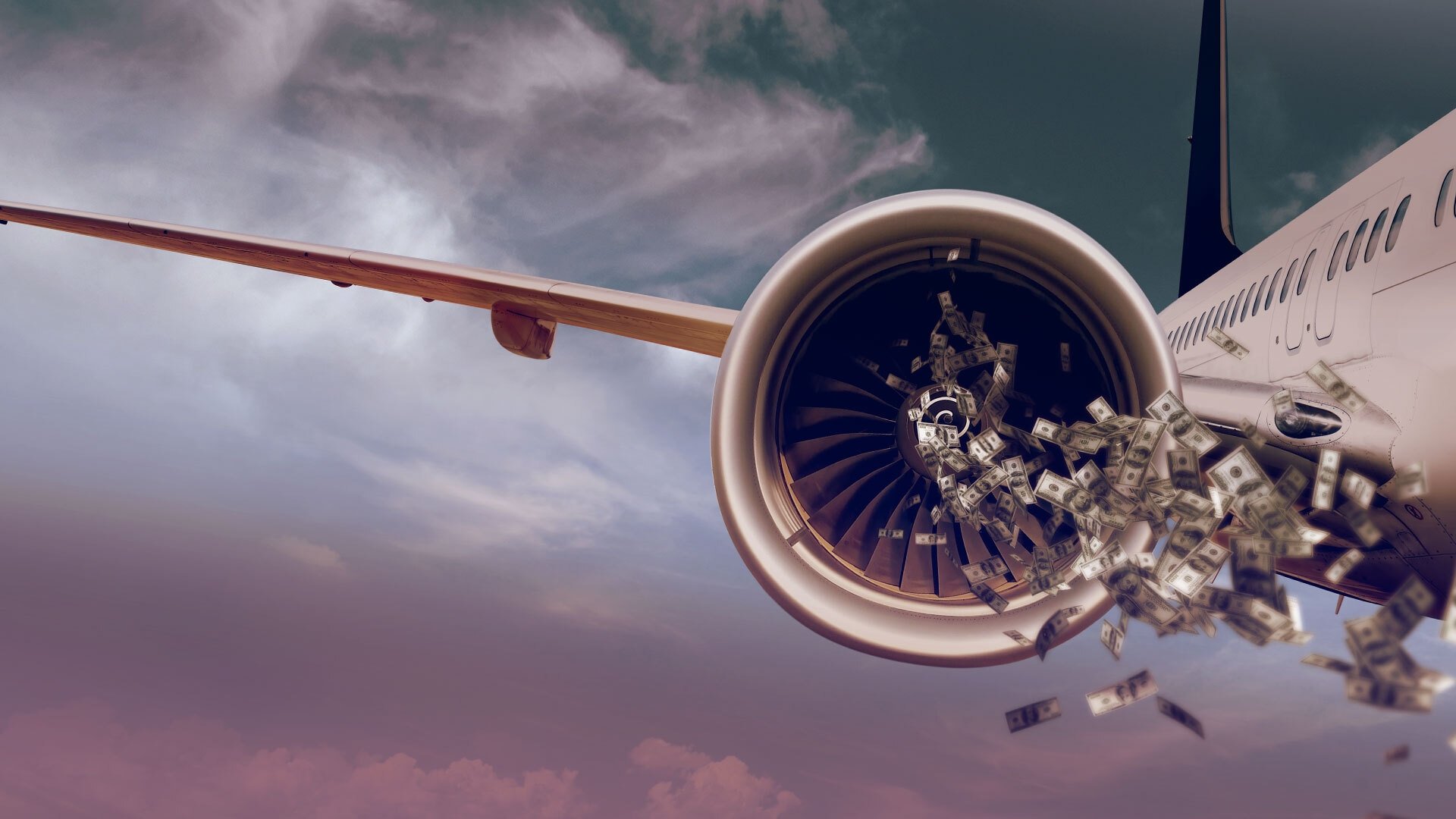 Flight/Risk Background