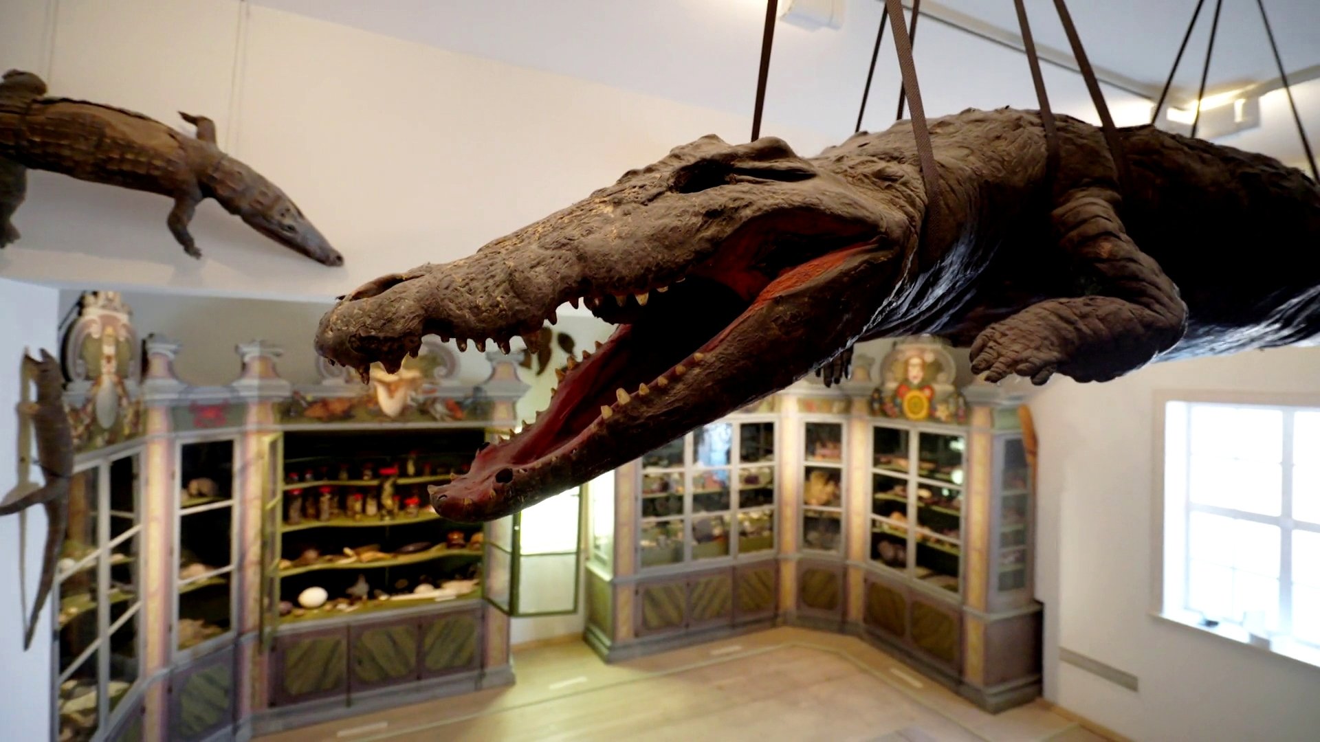 The Cultural History of Museums Background