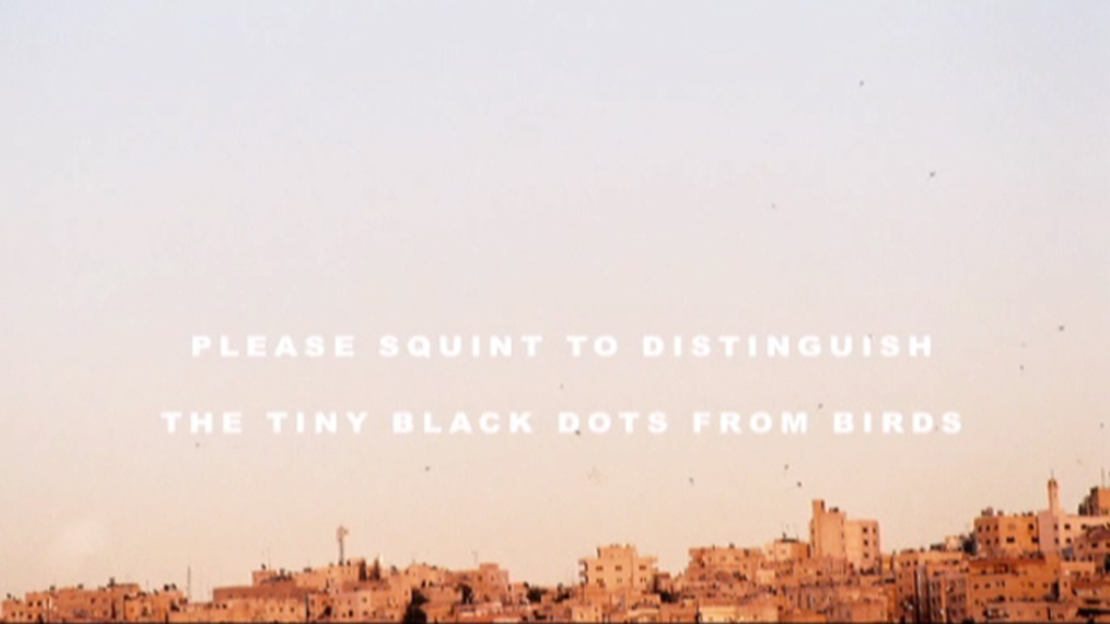 The Story of Milk and Honey Background