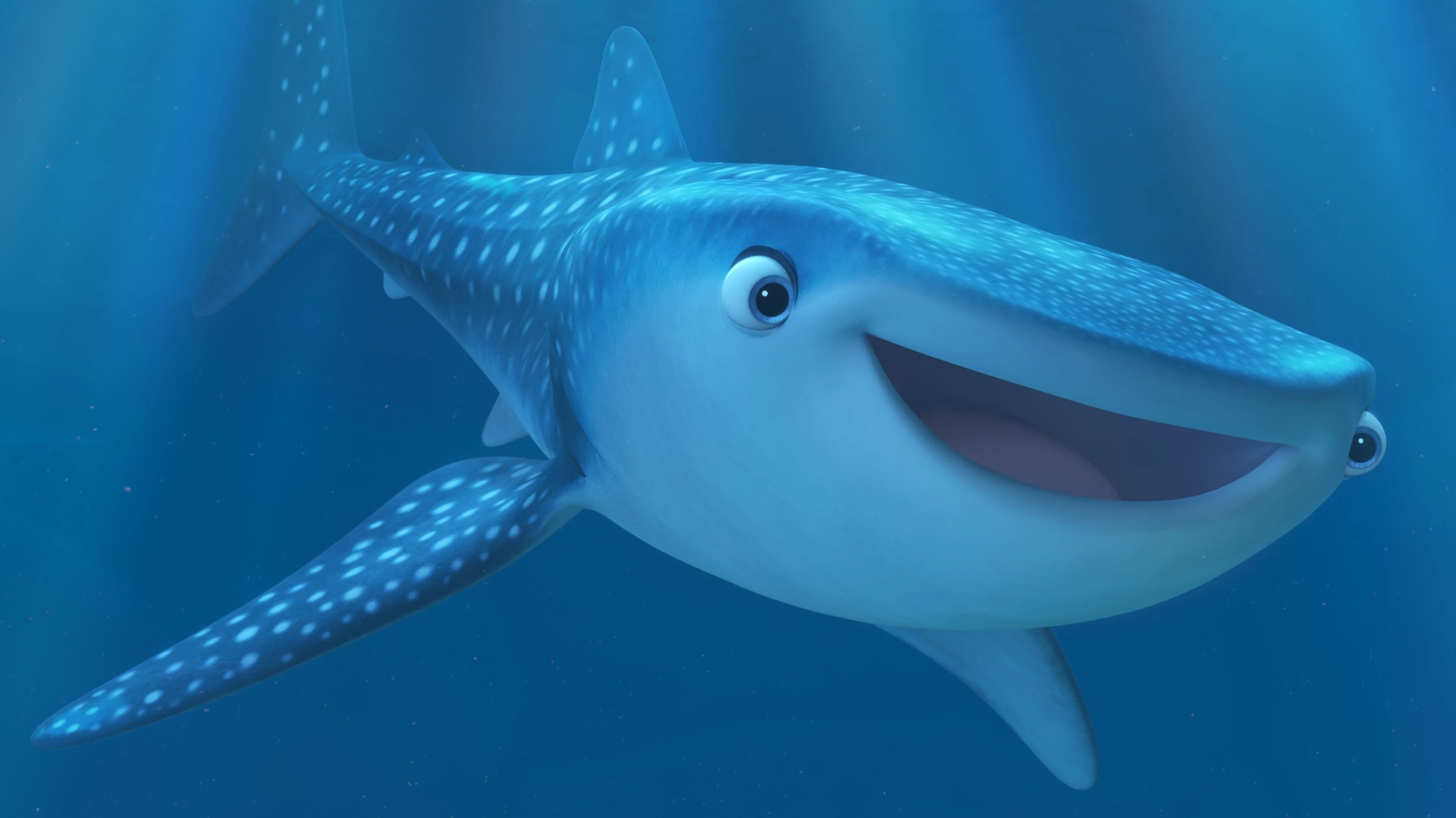 Marine Life Interviews Background