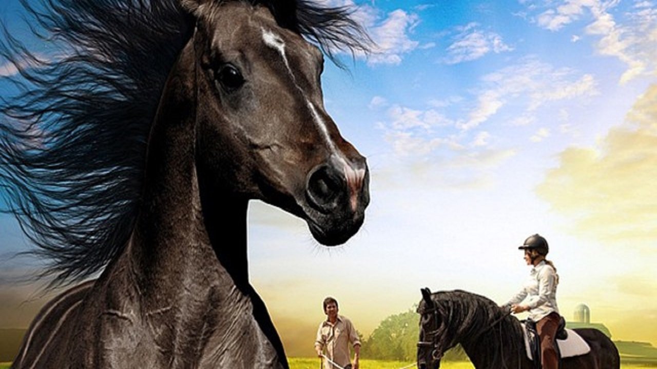 The Dark Horse Background