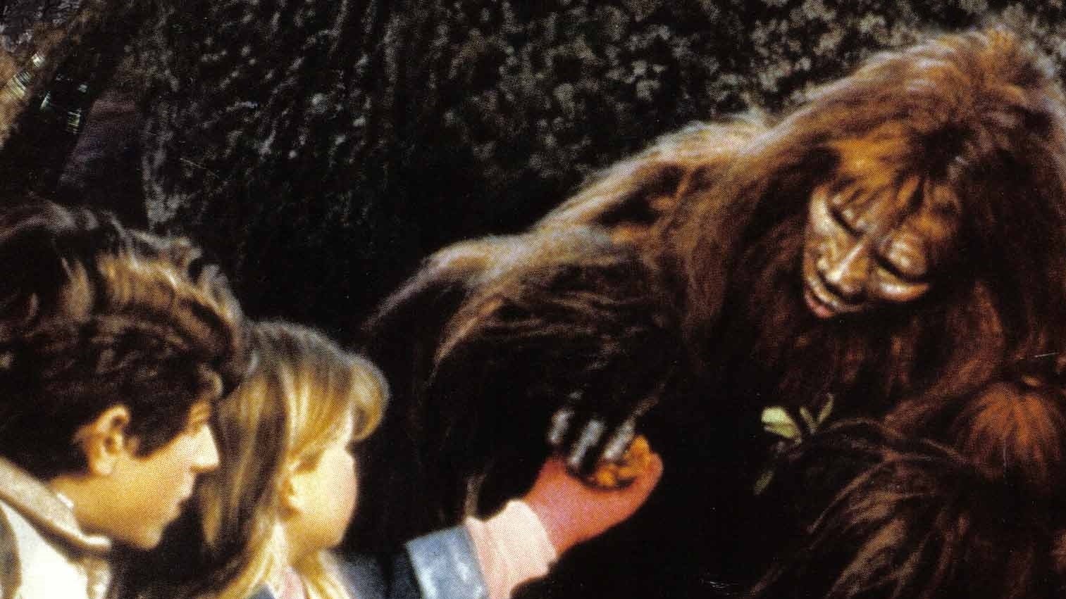 Bigfoot Background