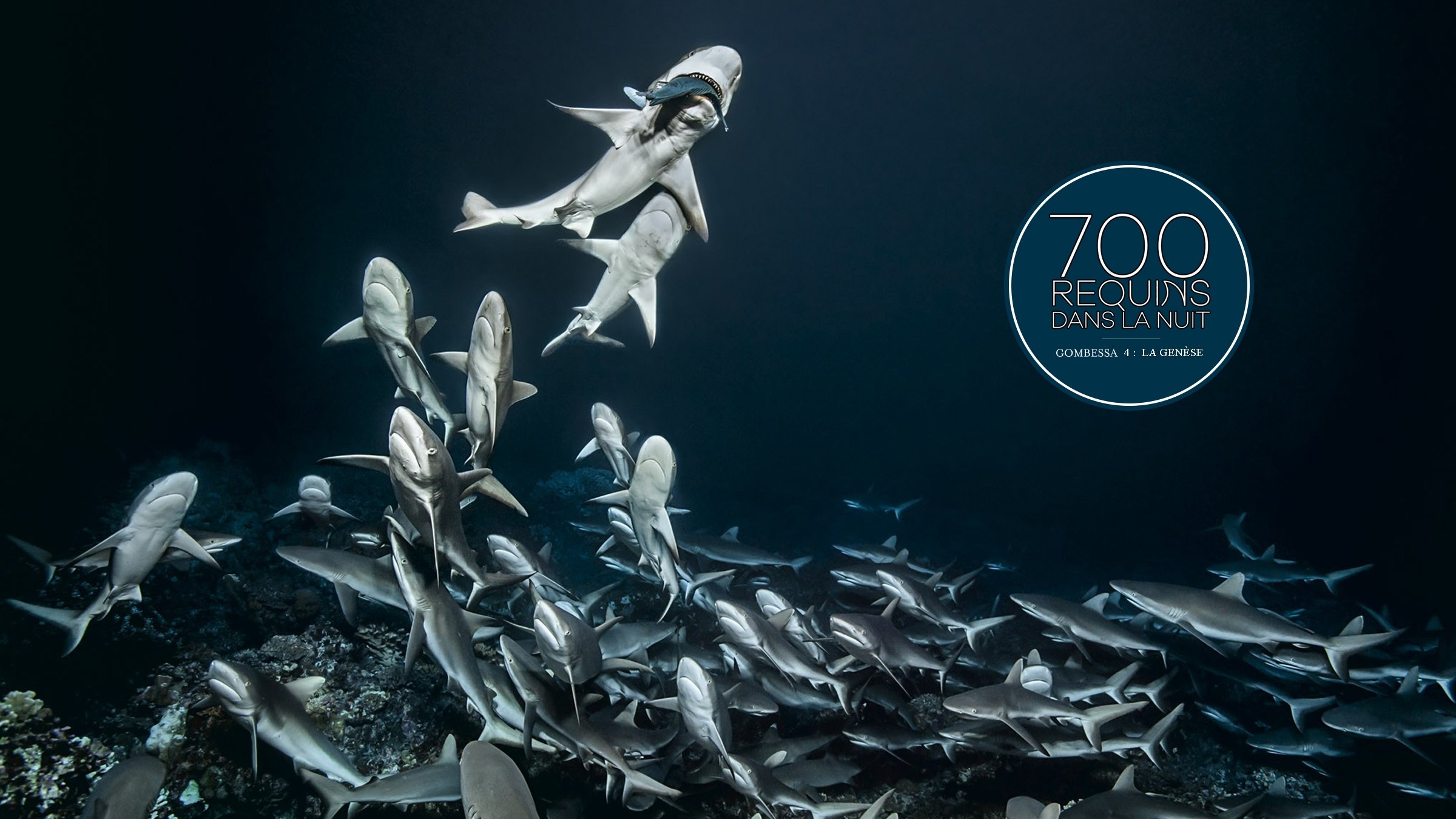 700 Sharks (Gombessa 4, Genesis) Background