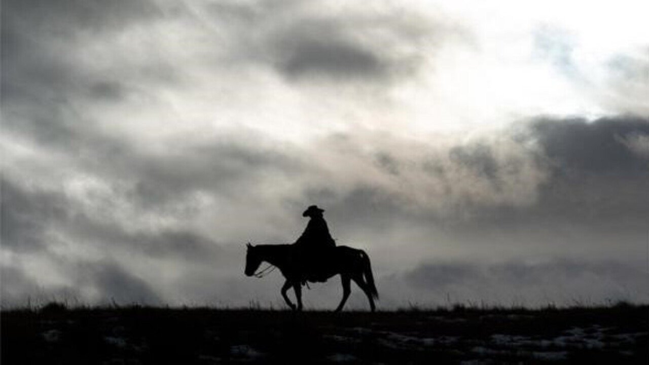 Bring on the Dancing Horses Background