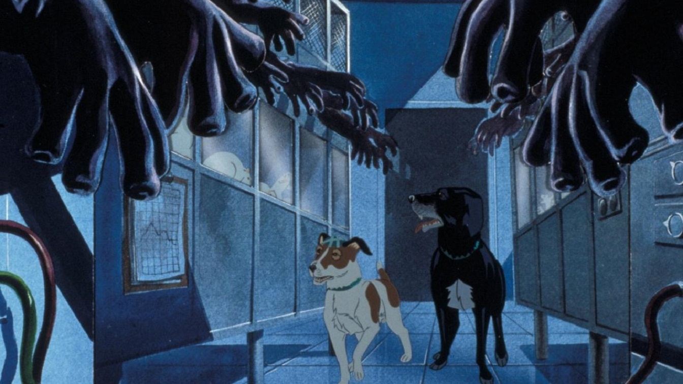 The Plague Dogs Background
