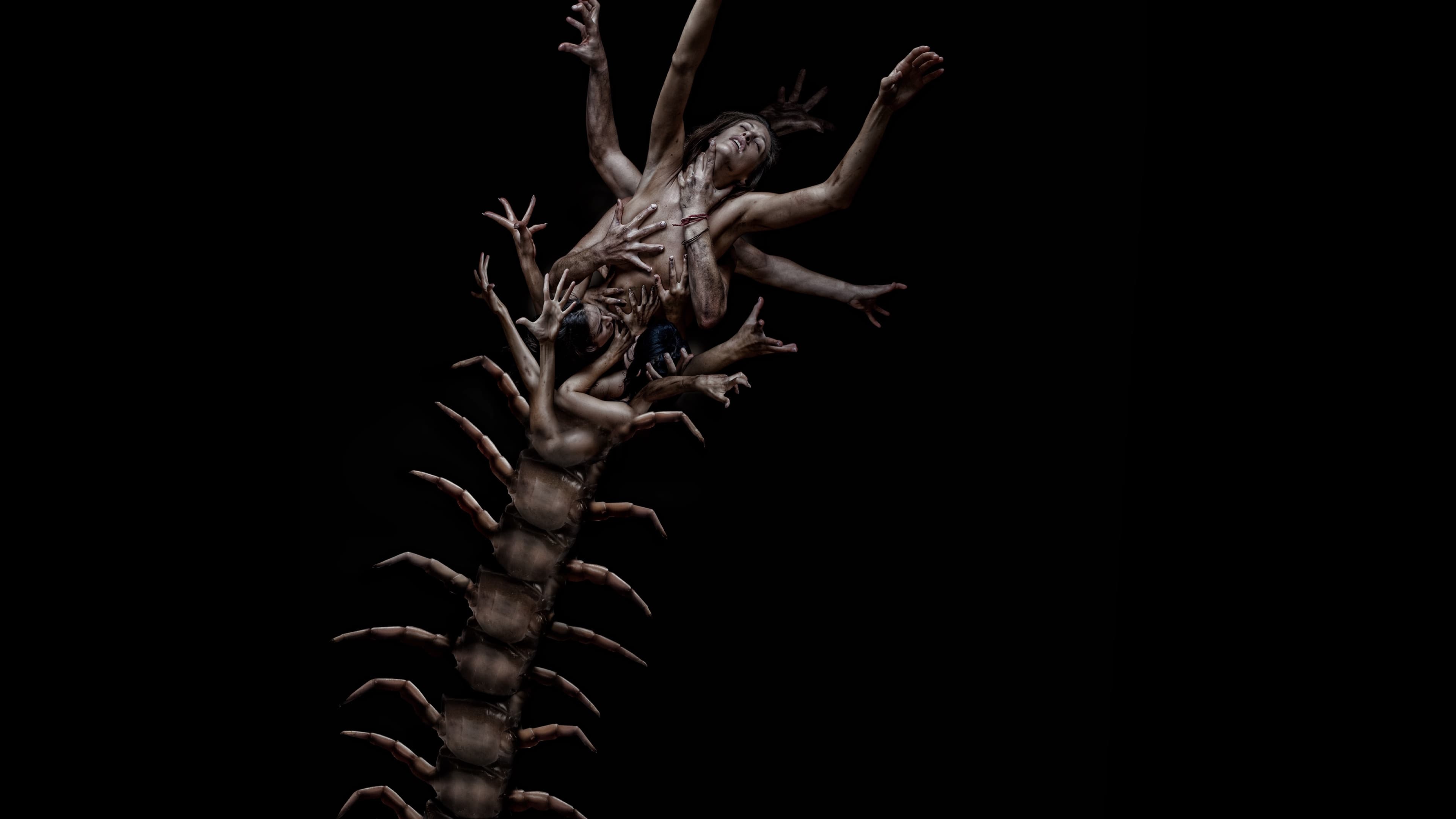 The Human Centipede 2 (Full Sequence) Background