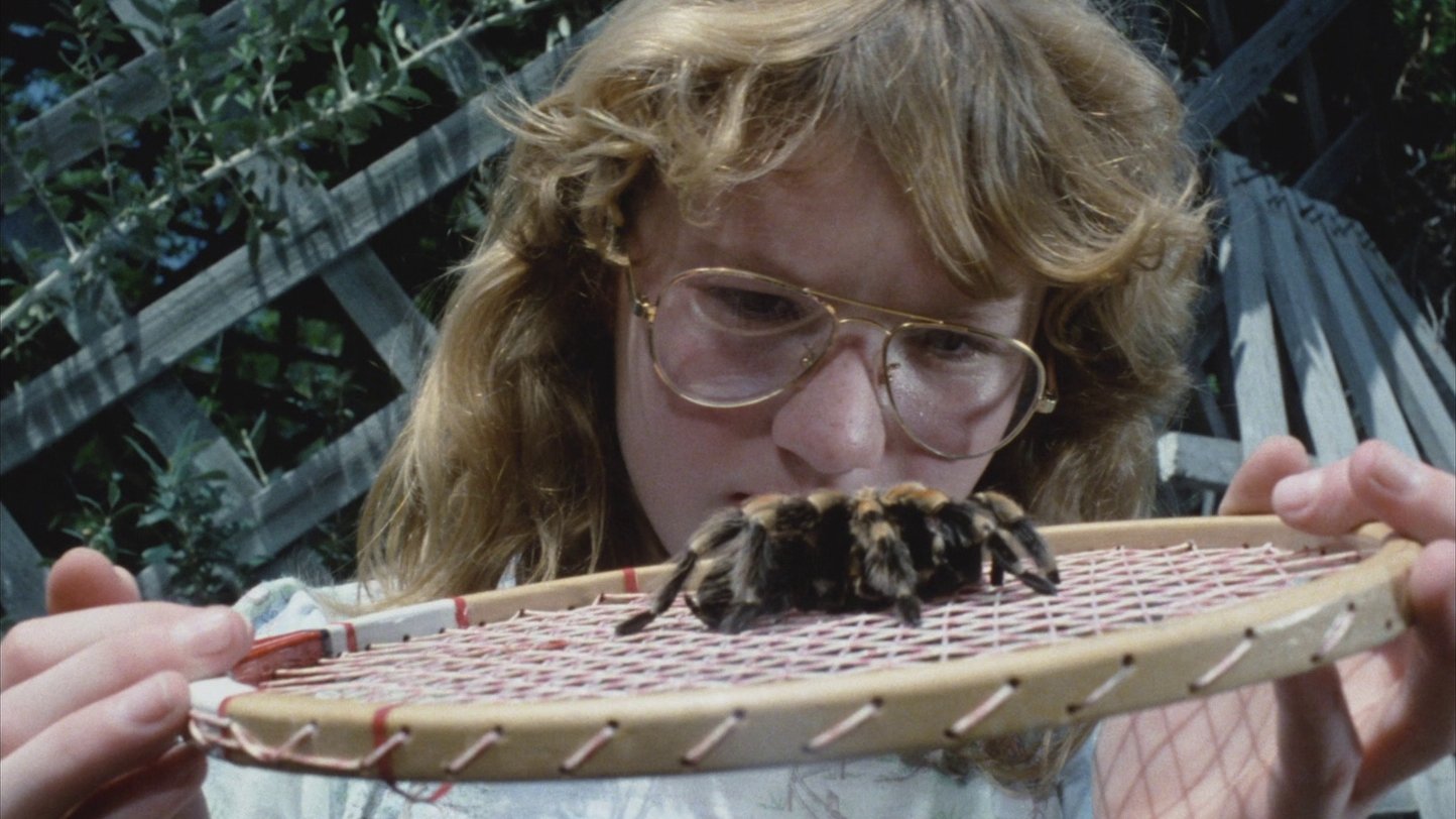 Tarantulas: The Deadly Cargo Background