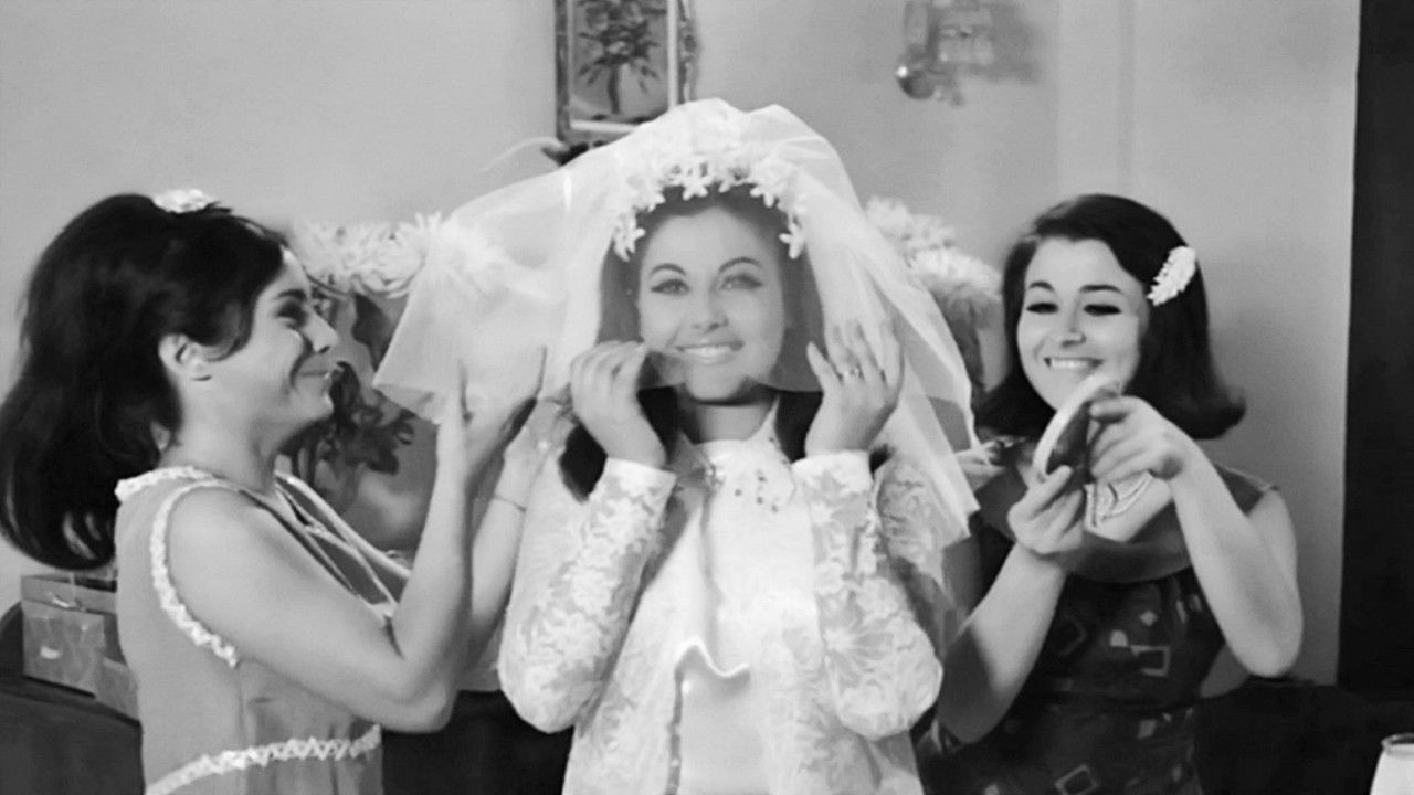 Crazy, Nuts and Vengos Background