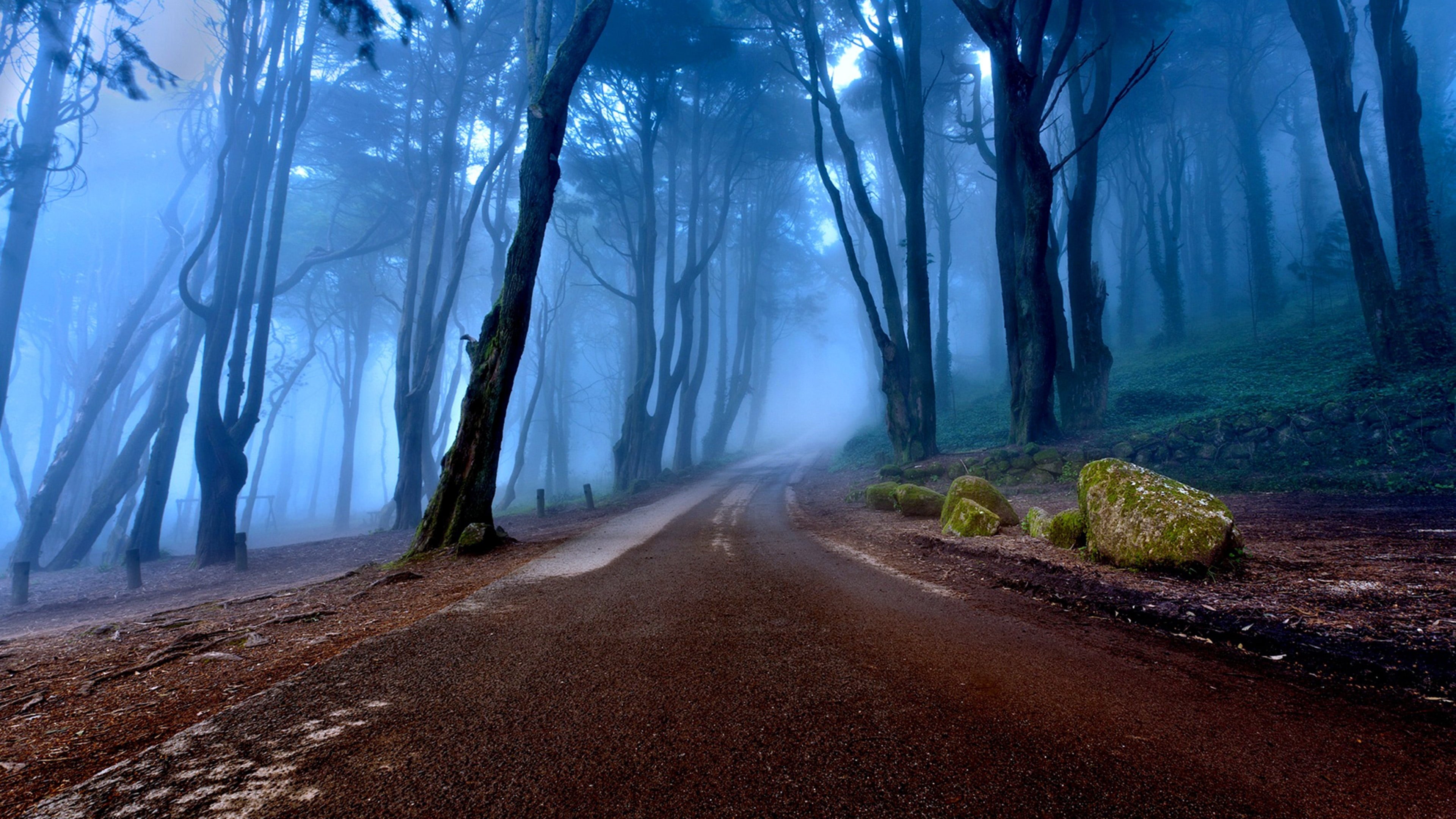 These Woods Are Haunted Background