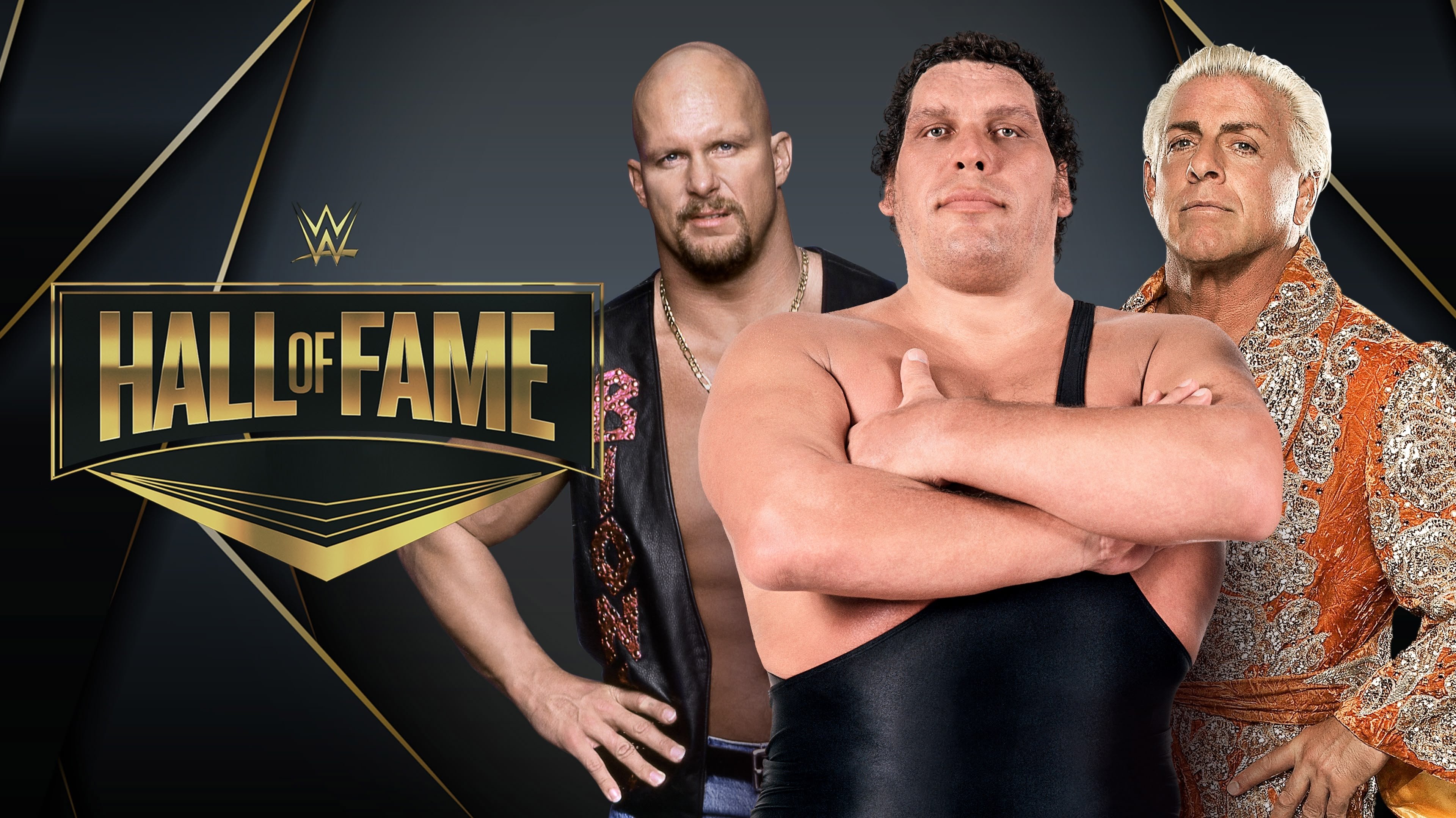 WWE Hall Of Fame 2009 Background