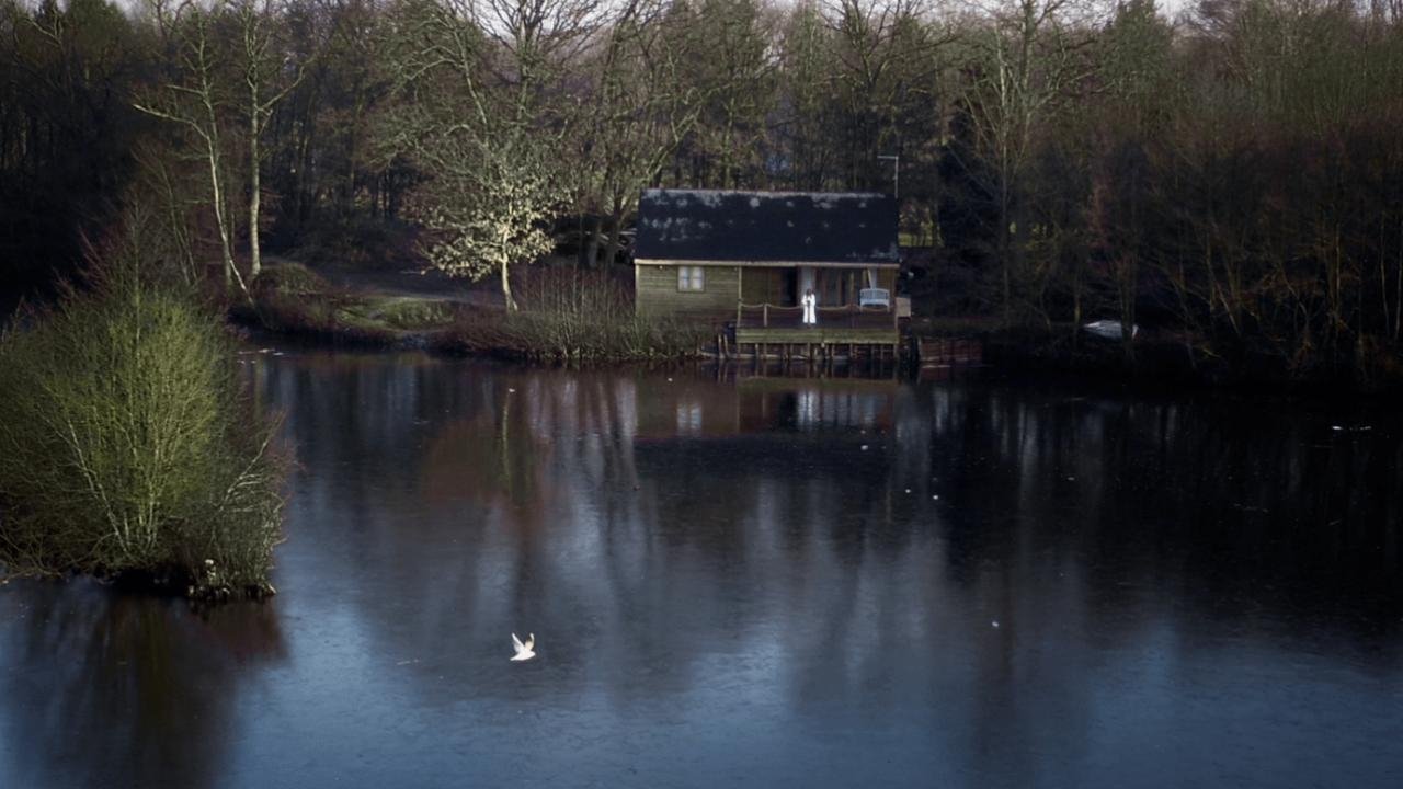 House on Elm Lake Background