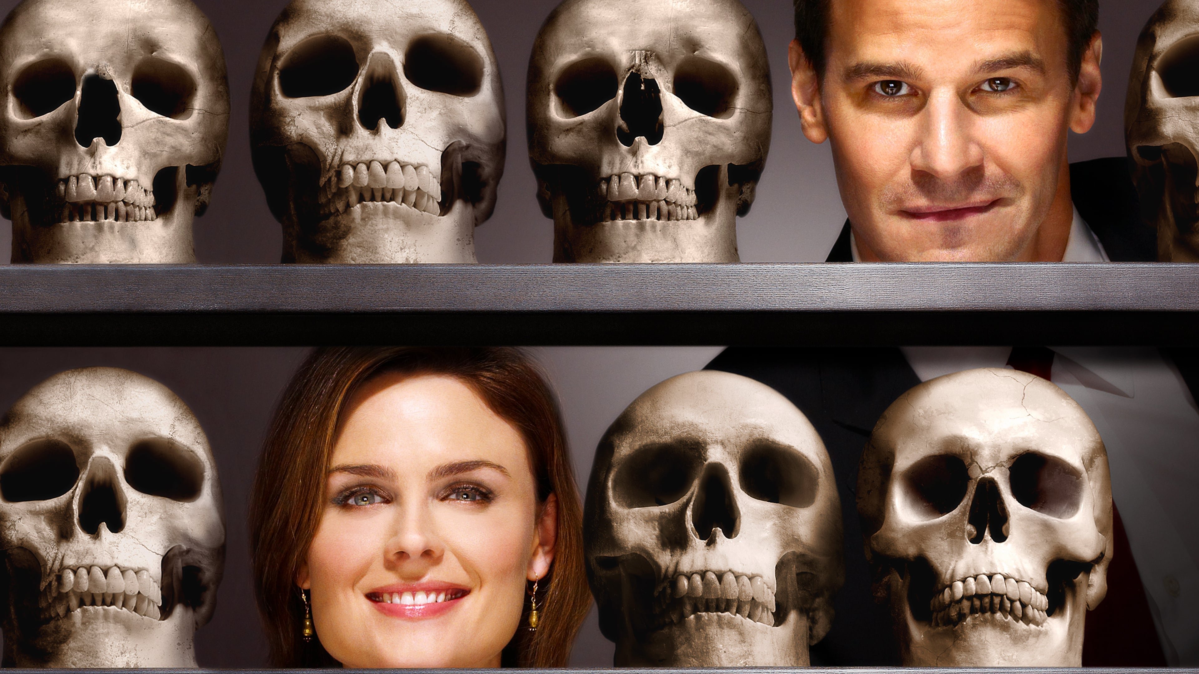 Bones Background