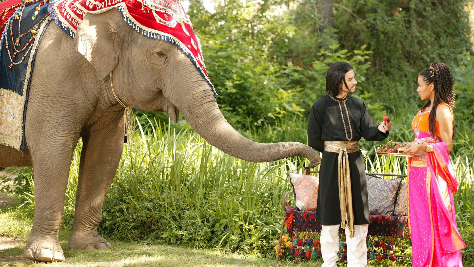 The Elephant Princess Background
