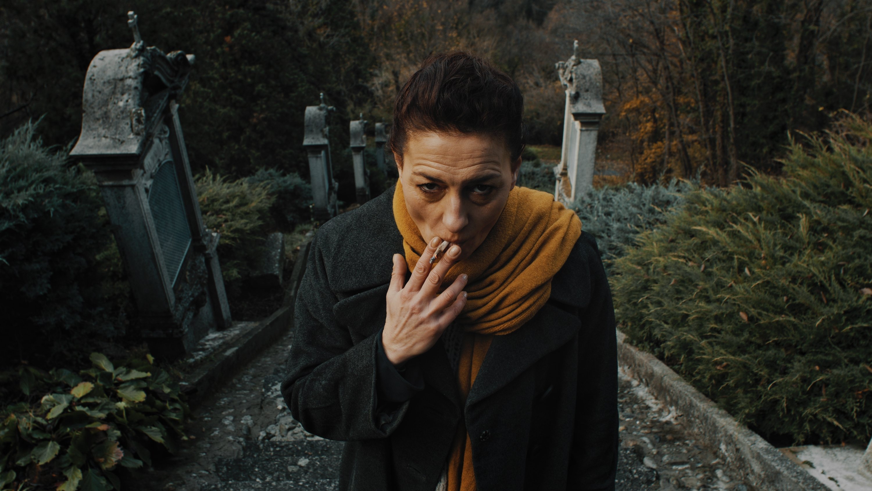 The Grand Bolero Background