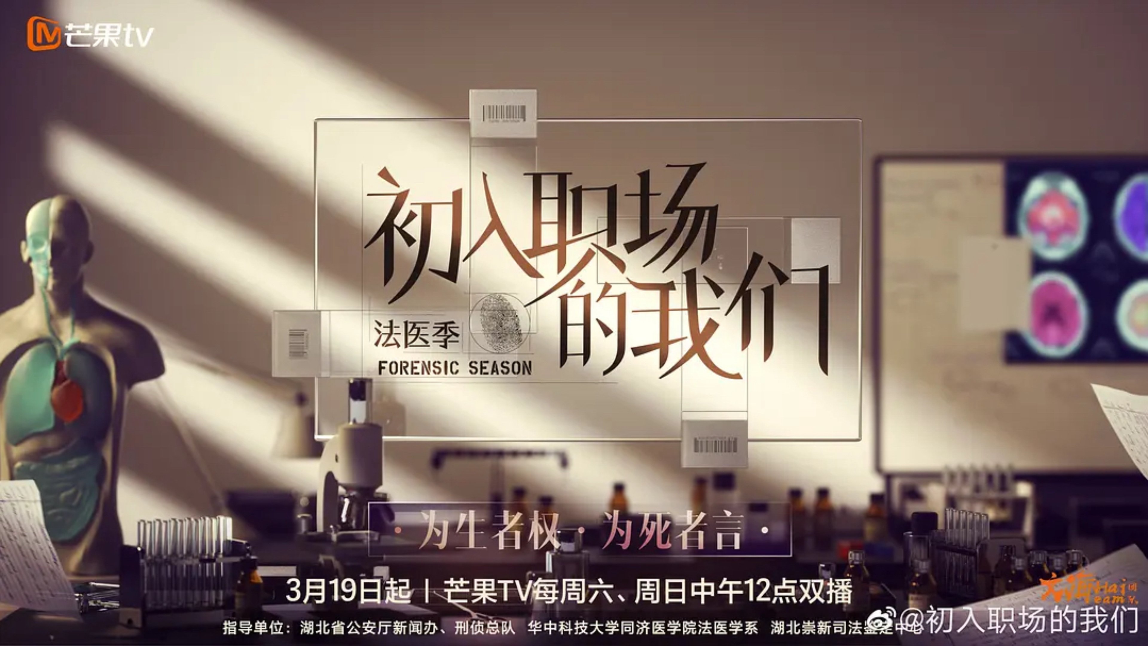 Workplace Newcomers Background