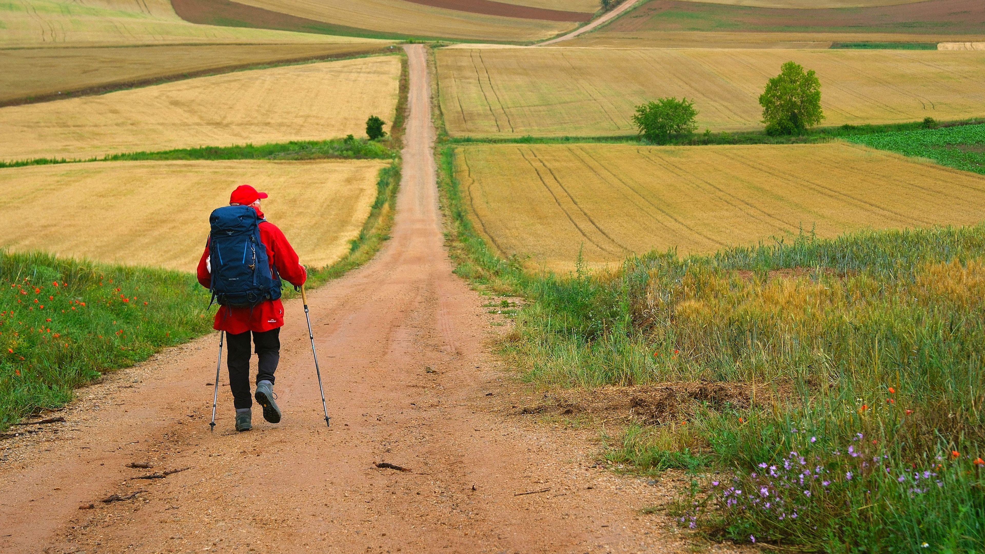 The Way, My Way Background