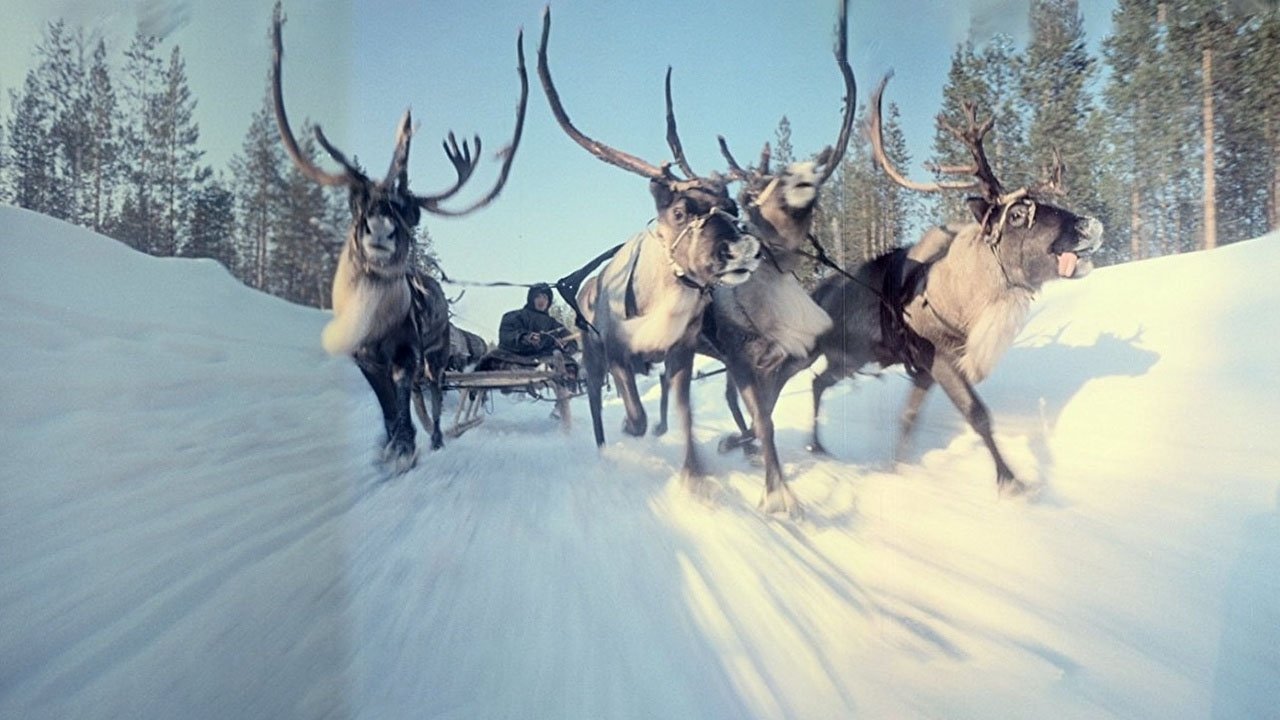 Cinerama's Russian Adventure Background