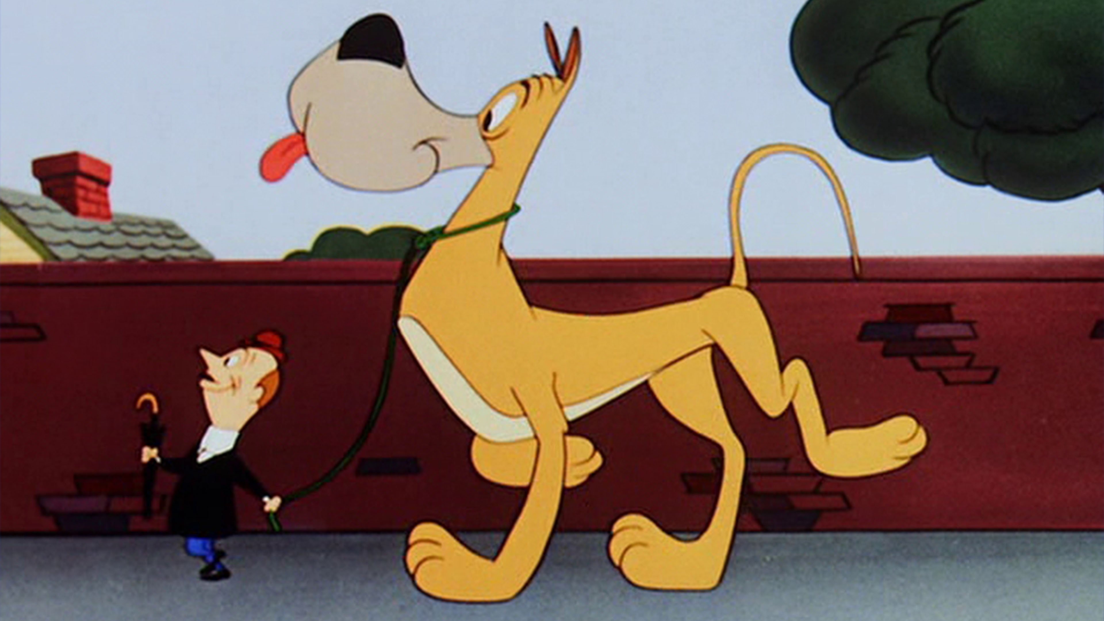 Dig That Dog Background