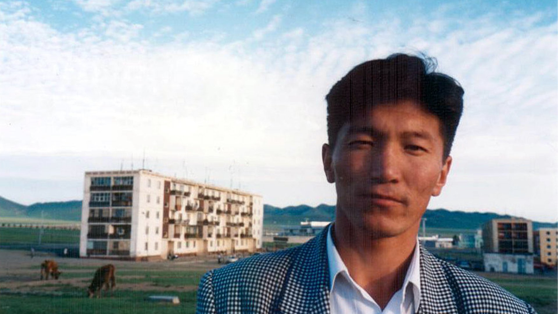 State of Dogs Background