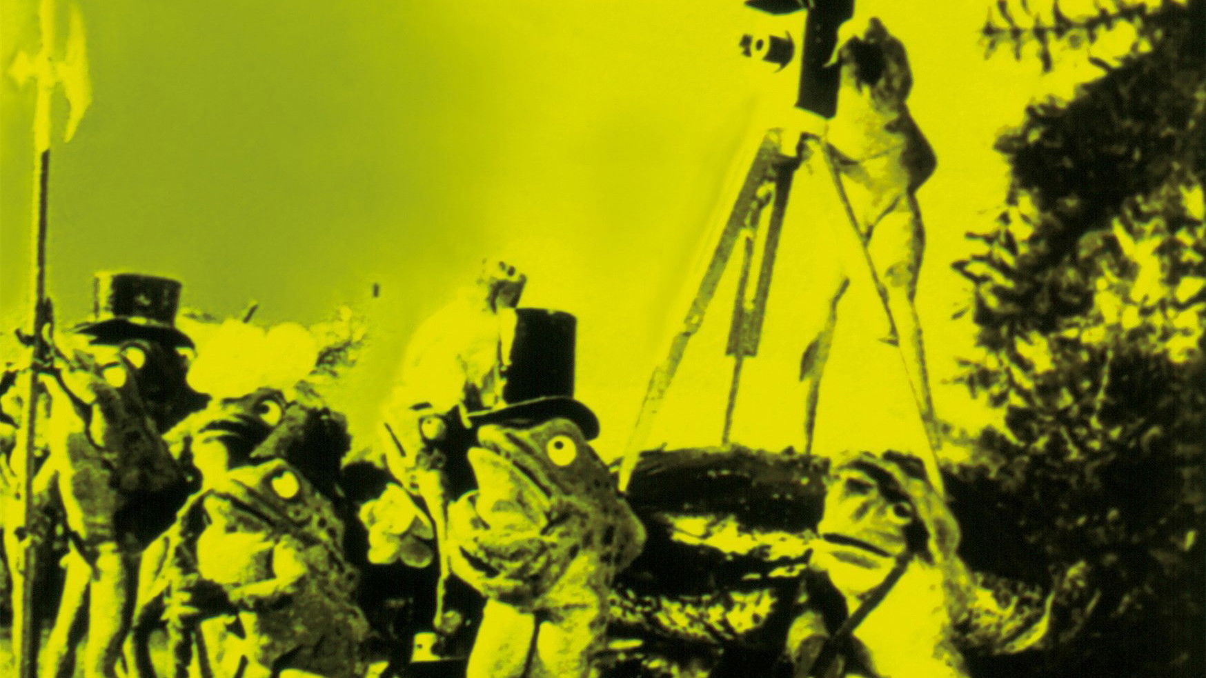 The Frogs Who Wanted a King Background