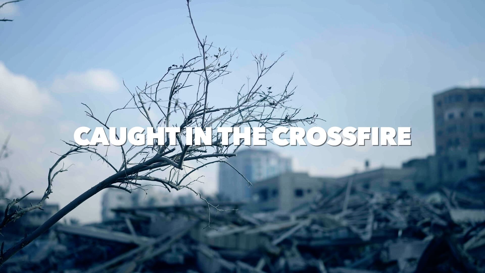 Caught in the crossfire Background