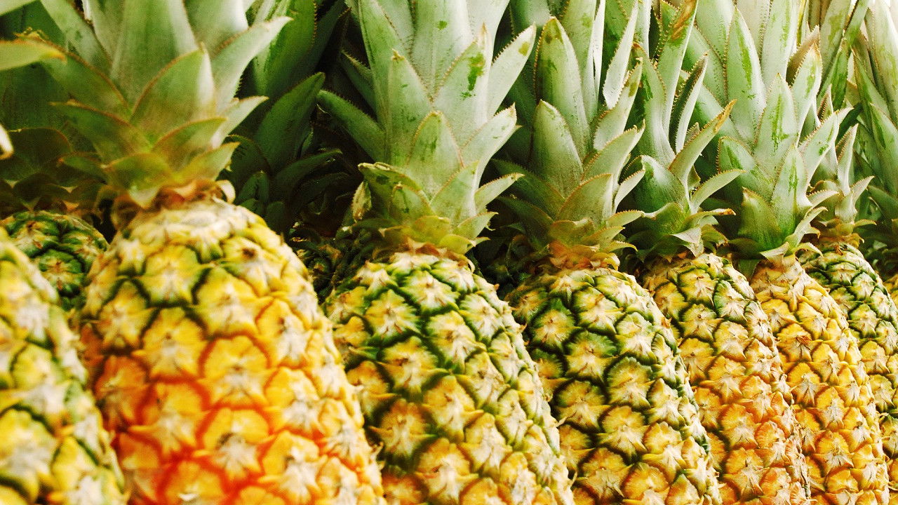 The Pineapple Story Background