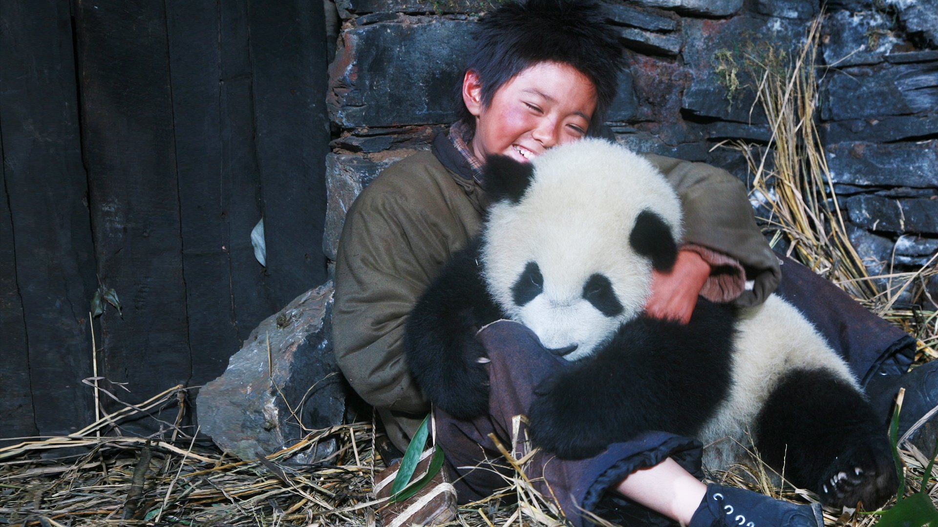 Trail of the Panda Background