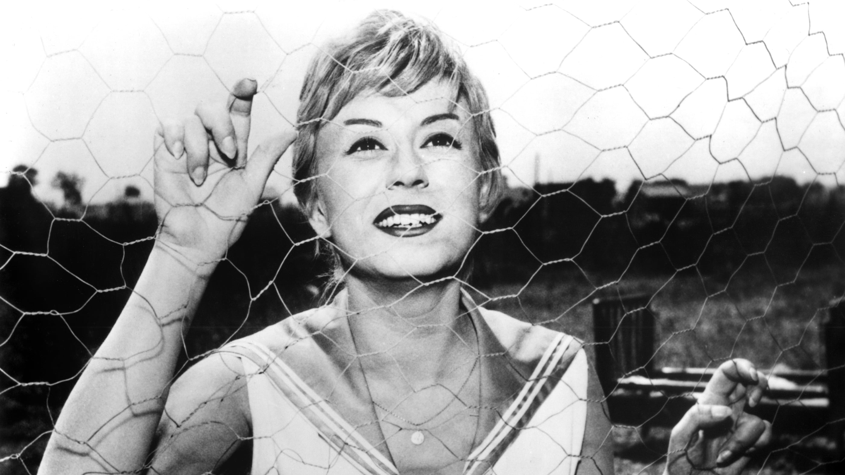 Nights of Cabiria Background
