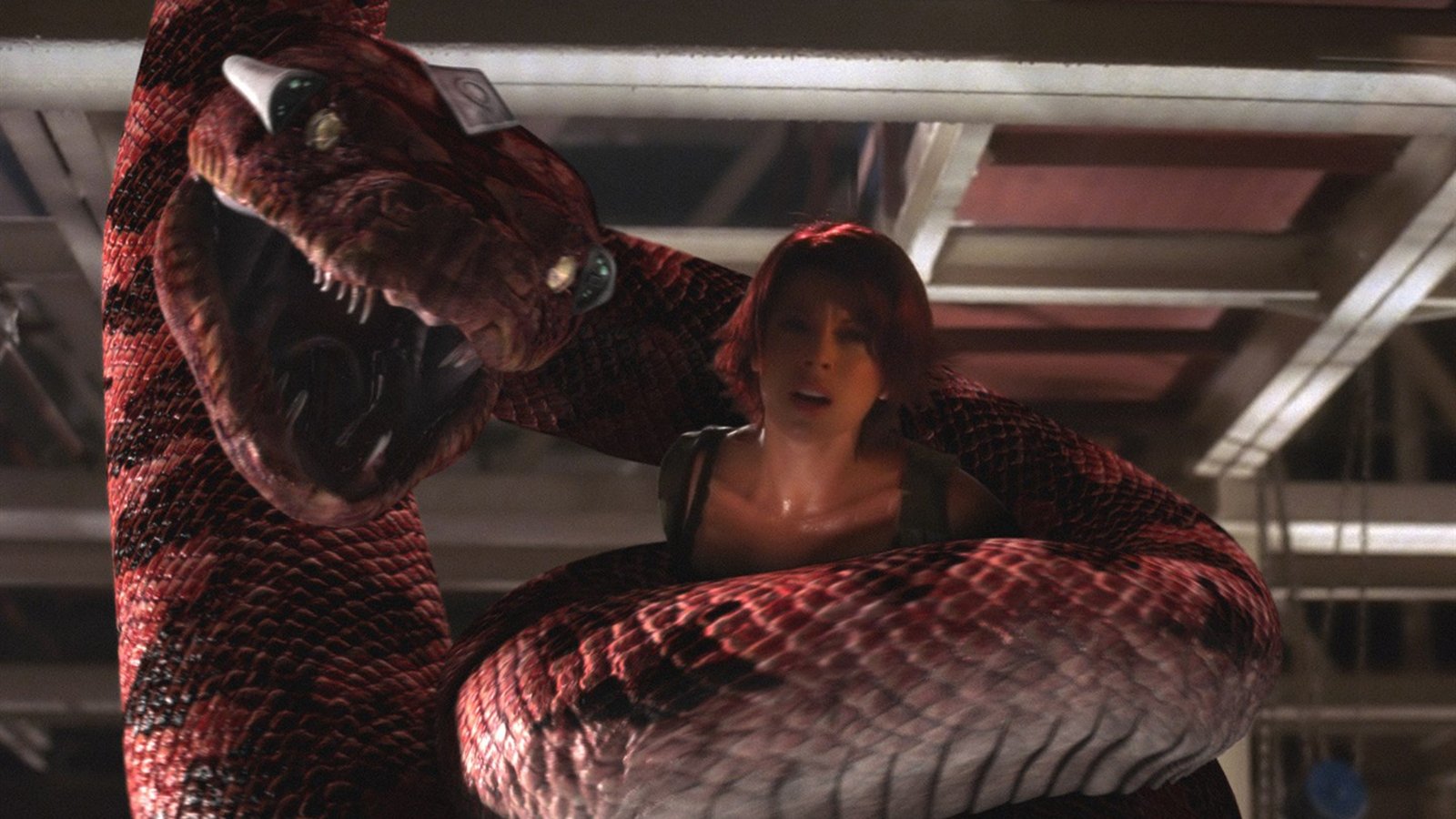 Boa vs. Python Background