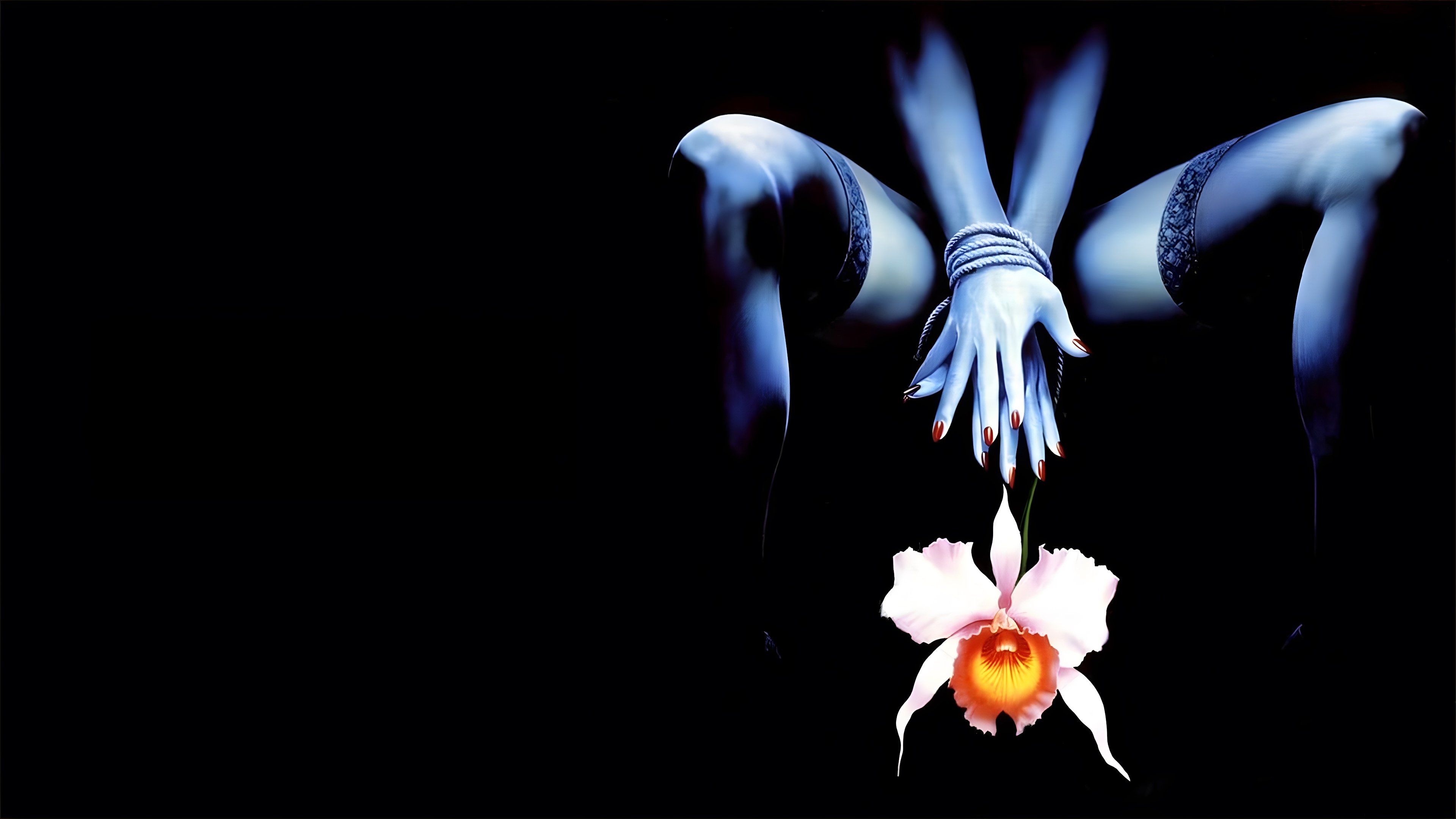 Wild Orchid II: Two Shades of Blue Background