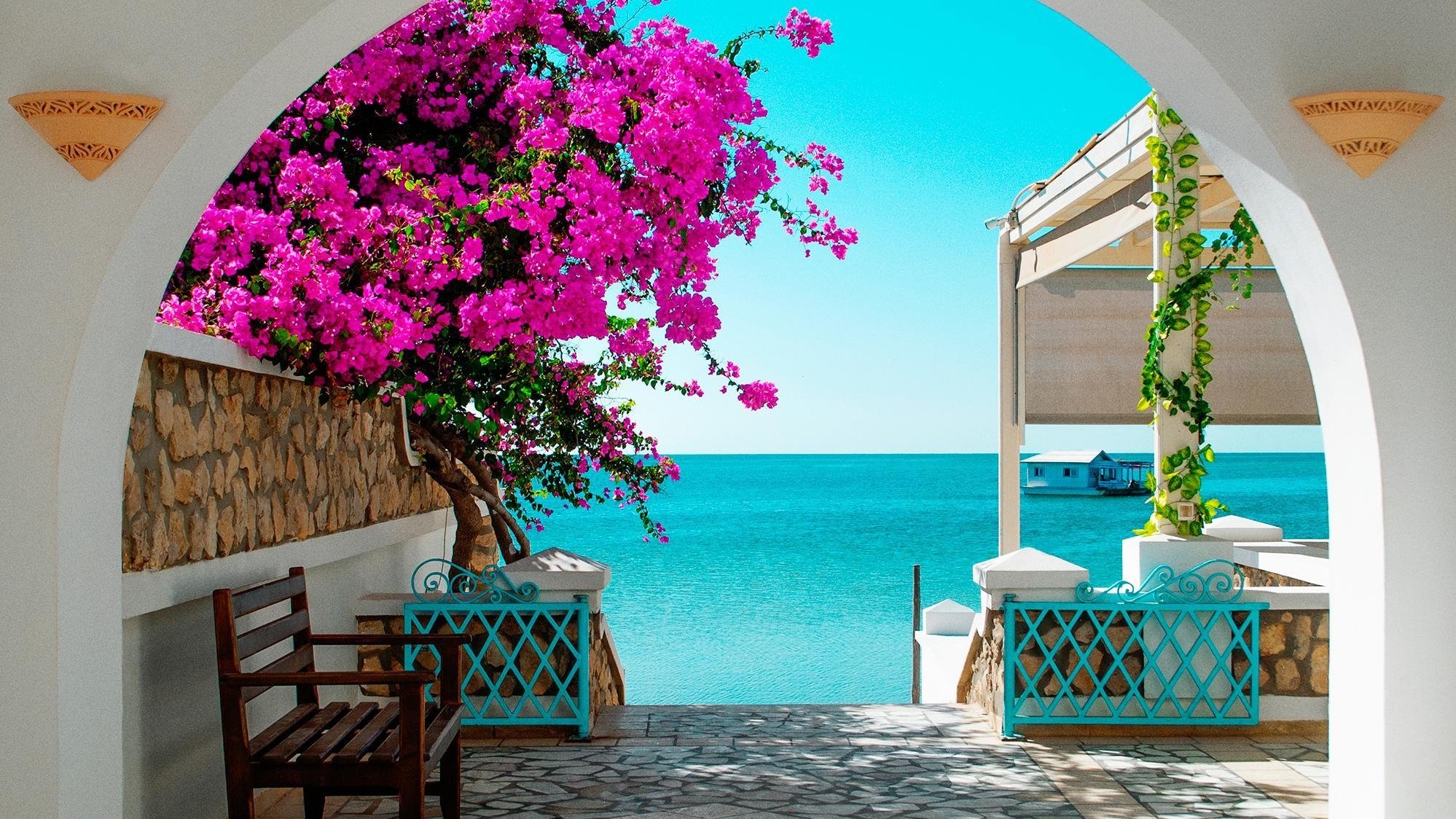 Tunisie, la belle de la Méditerranée Background