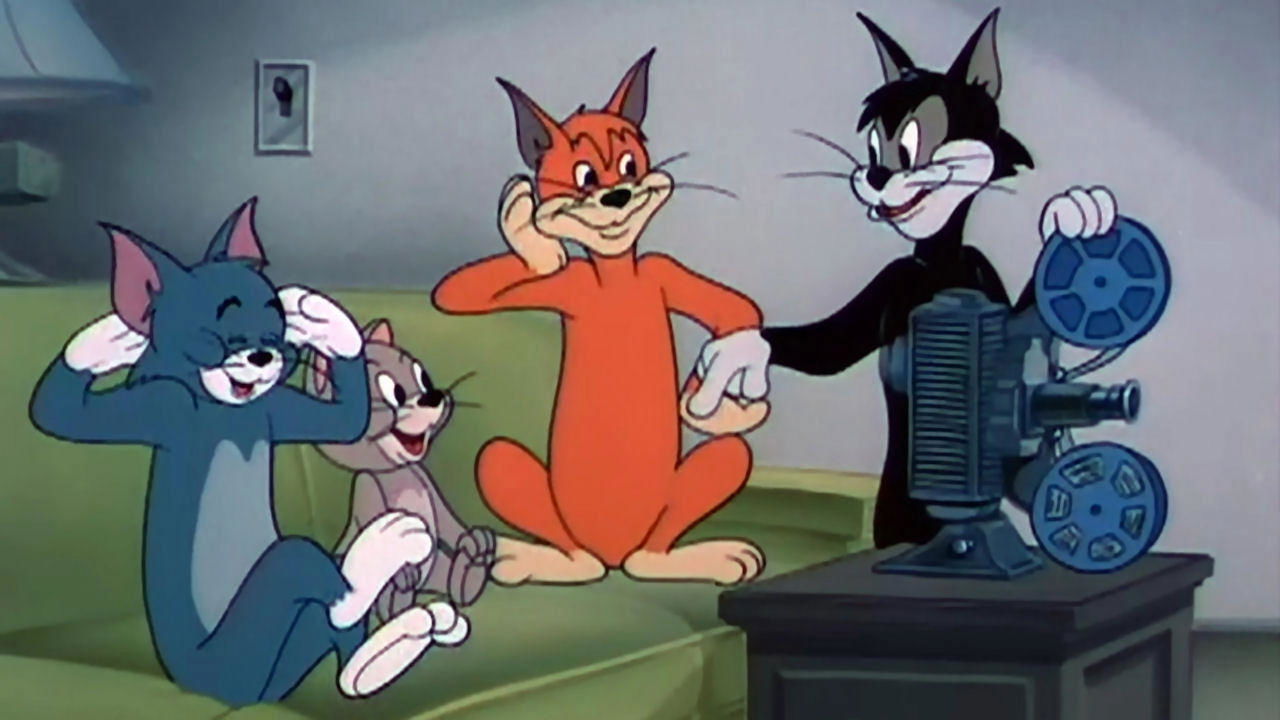 Smarty Cat Background