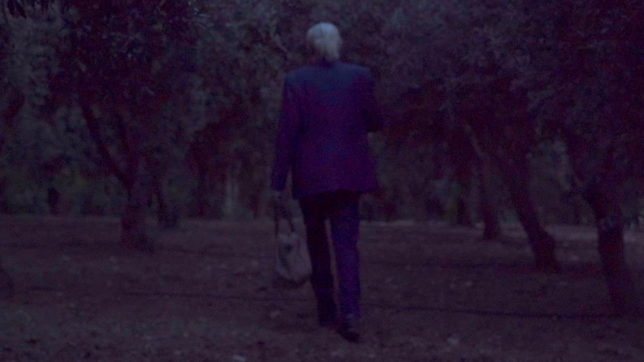 Bloom of Old Trees Background